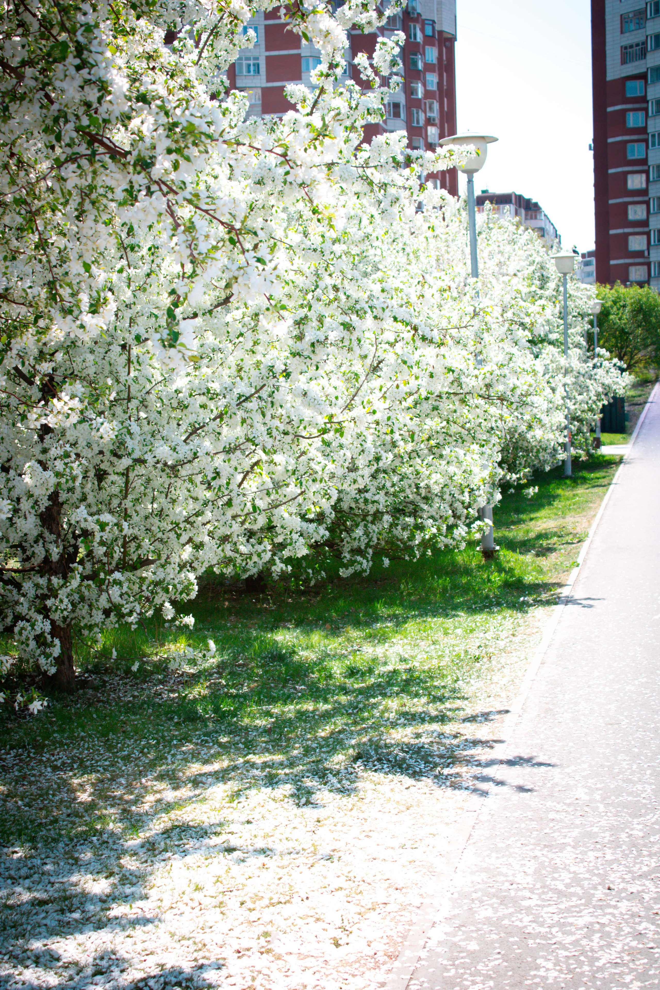 Вдохновение. Бутакова Елена фотограф в Екатеринбурге