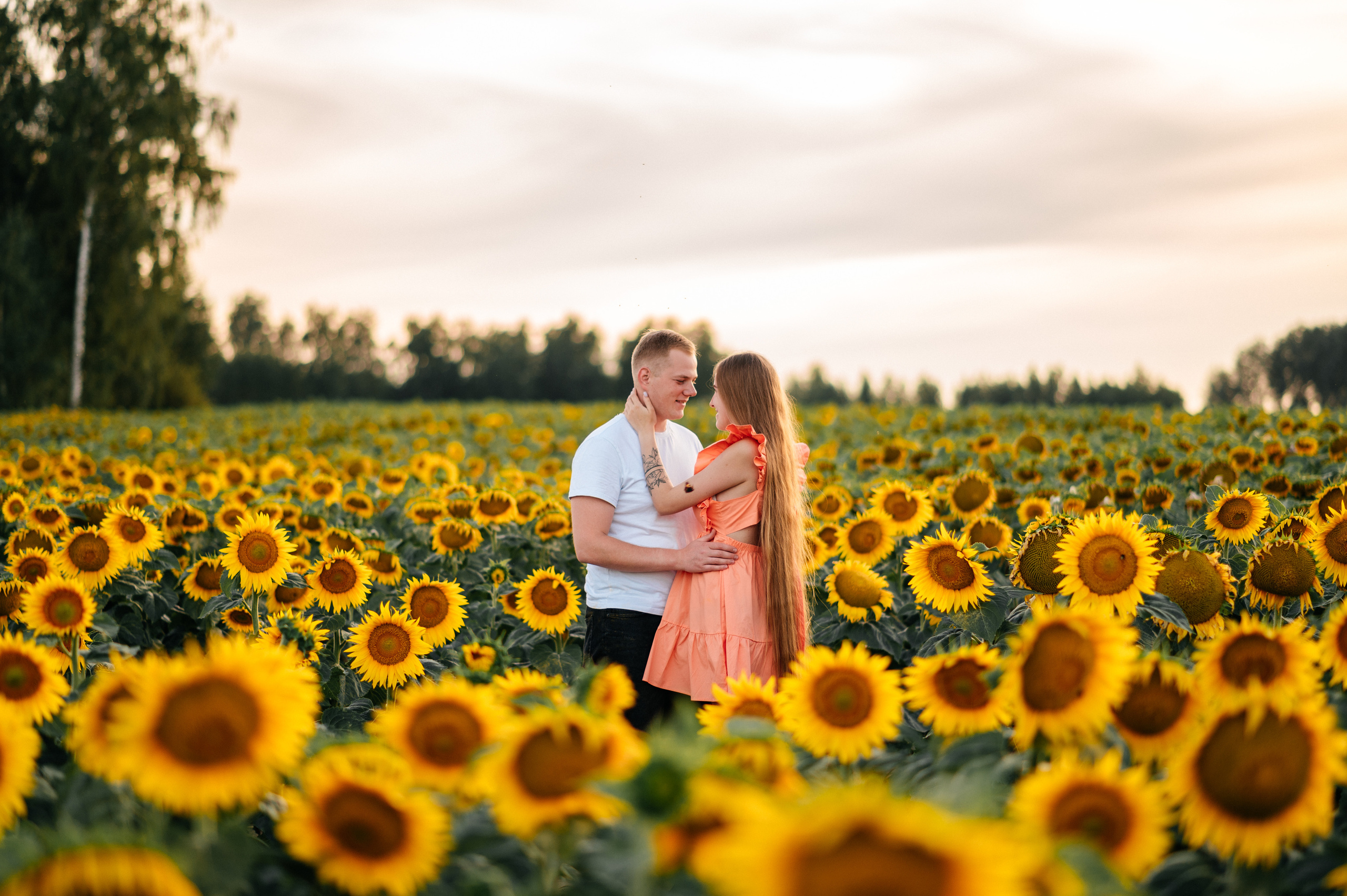 Фотосессия в подсолнухах. Катя Курлович — семейный фотограф в Бобруйске и Минске