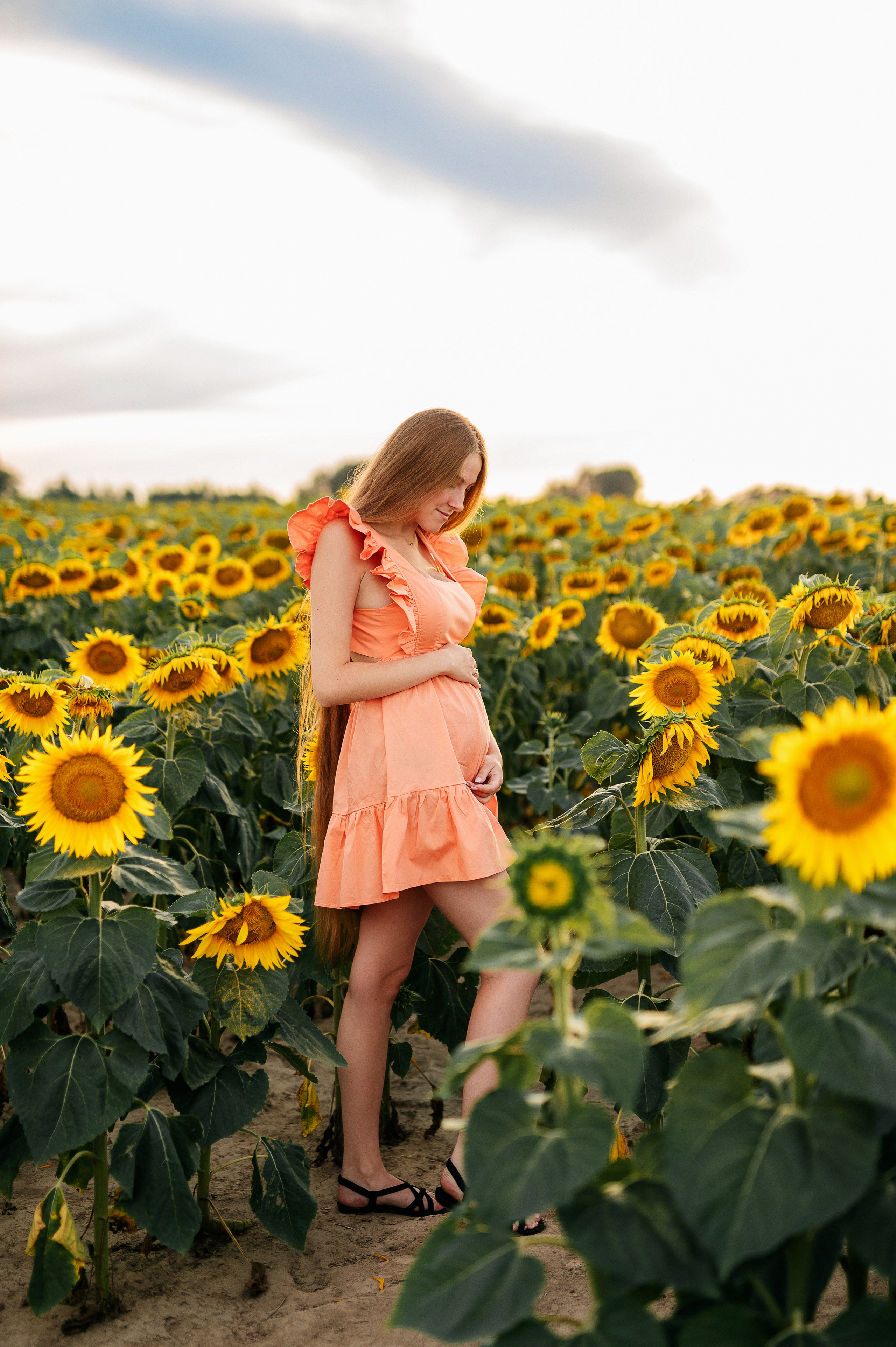 Фотосессия в подсолнухах. Катя Курлович — семейный фотограф в Бобруйске и Минске
