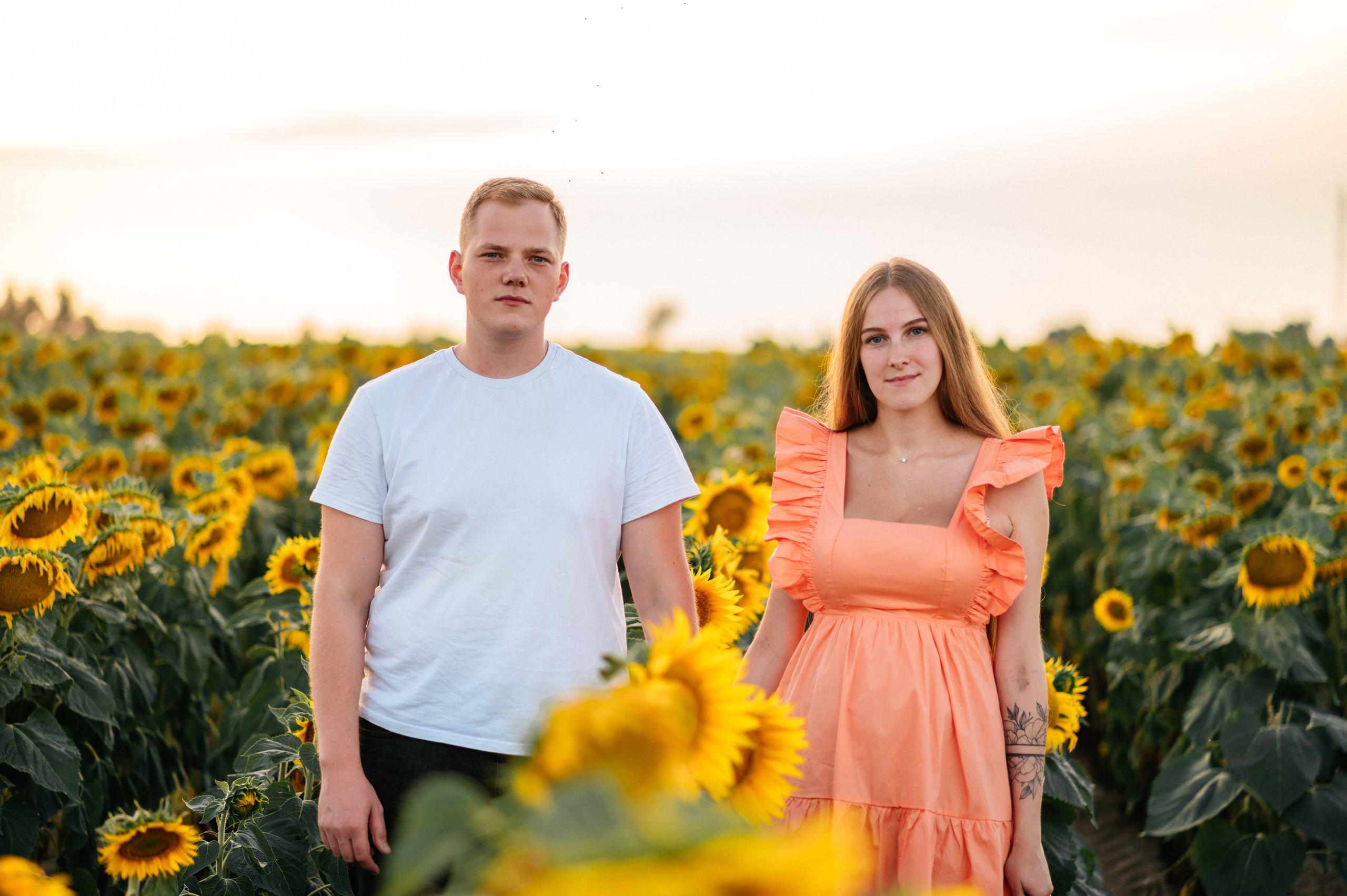 Фотосессия в подсолнухах. Катя Курлович — семейный фотограф в Бобруйске и Минске