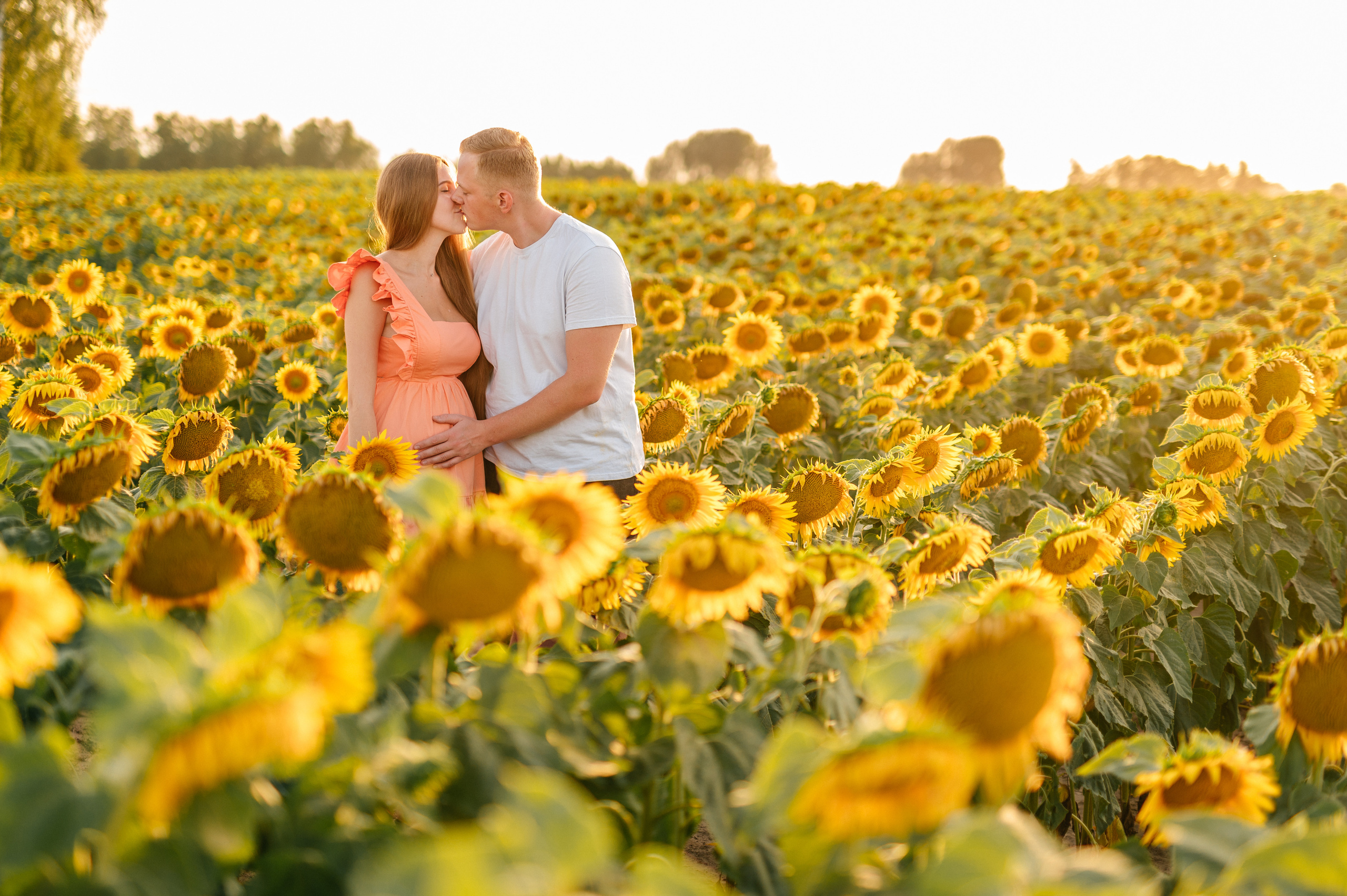 Фотосессия в подсолнухах. Катя Курлович — семейный фотограф в Бобруйске и Минске