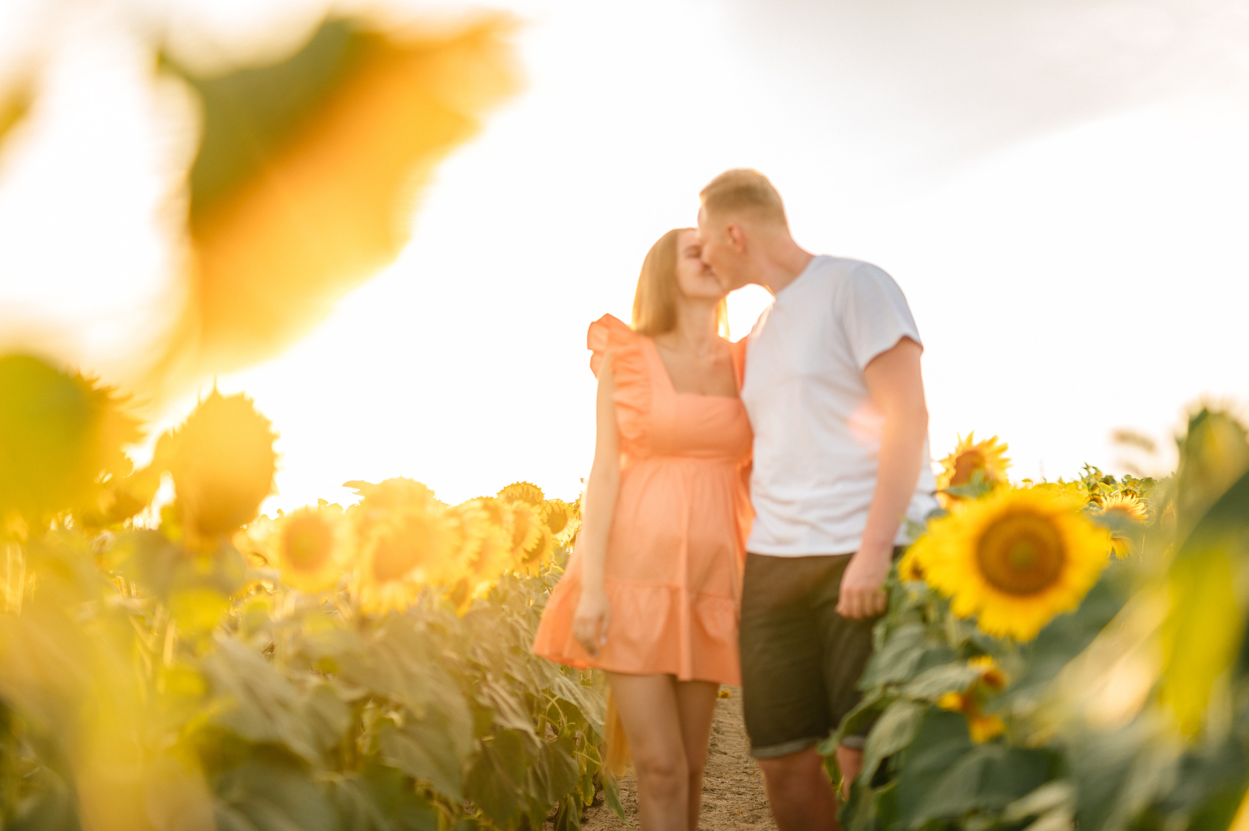 Фотосессия в подсолнухах. Катя Курлович — семейный фотограф в Бобруйске и Минске
