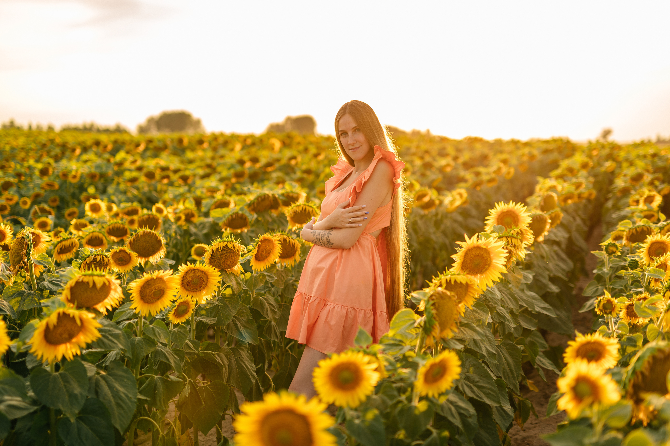 Фотосессия в подсолнухах. Катя Курлович — семейный фотограф в Бобруйске и Минске