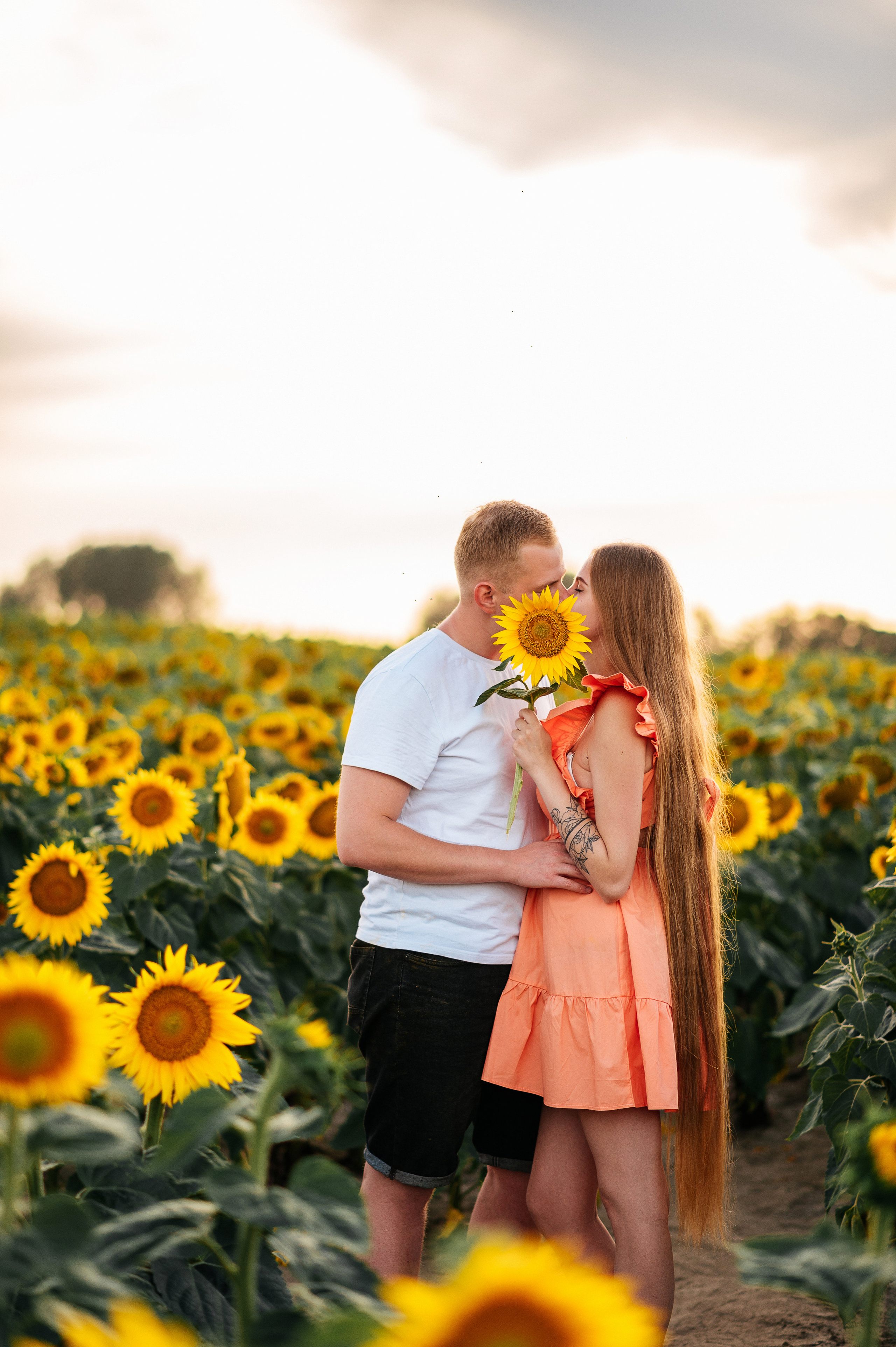 Фотосессия в подсолнухах. Катя Курлович — семейный фотограф в Бобруйске и Минске