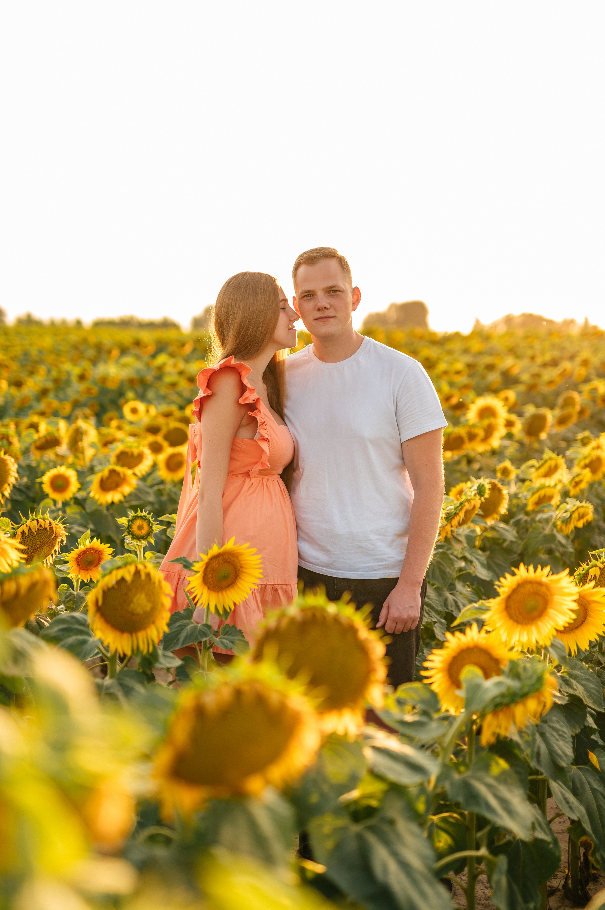 Фотосессия в подсолнухах. Катя Курлович — семейный фотограф в Бобруйске и Минске