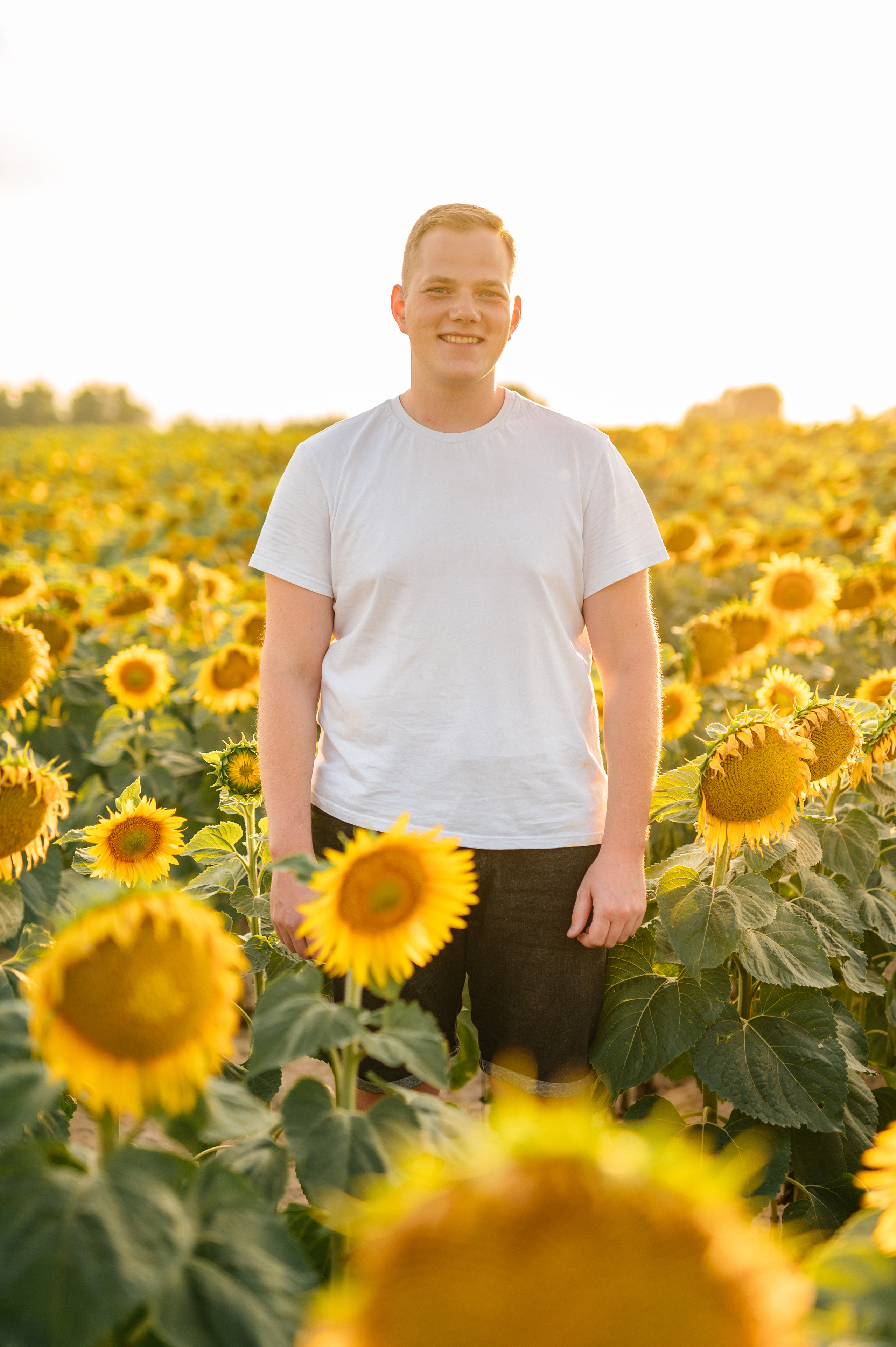 Фотосессия в подсолнухах. Катя Курлович — семейный фотограф в Бобруйске и Минске