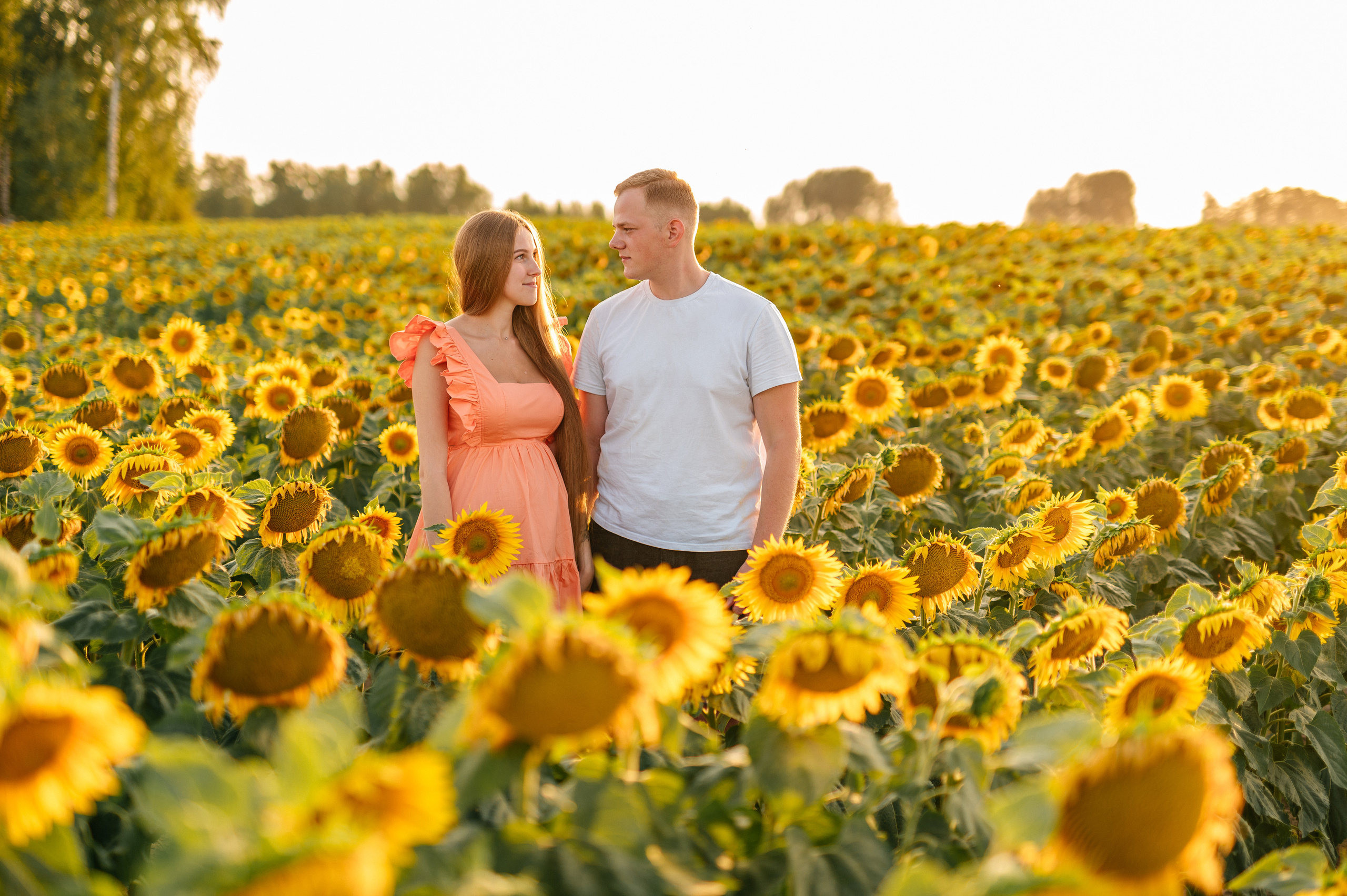 Фотосессия в подсолнухах. Катя Курлович — семейный фотограф в Бобруйске и Минске