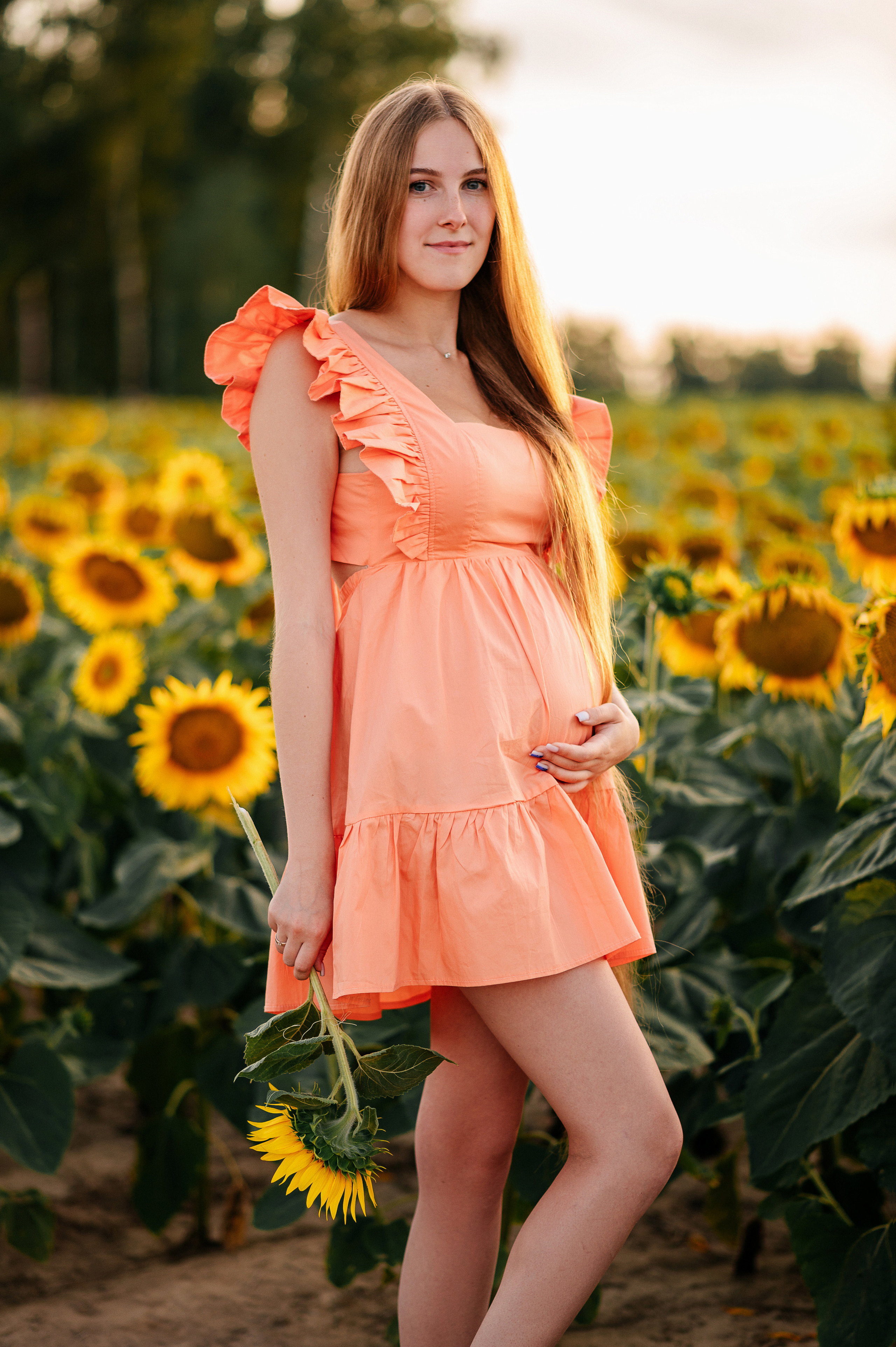 Фотосессия в подсолнухах. Катя Курлович — семейный фотограф в Бобруйске и Минске