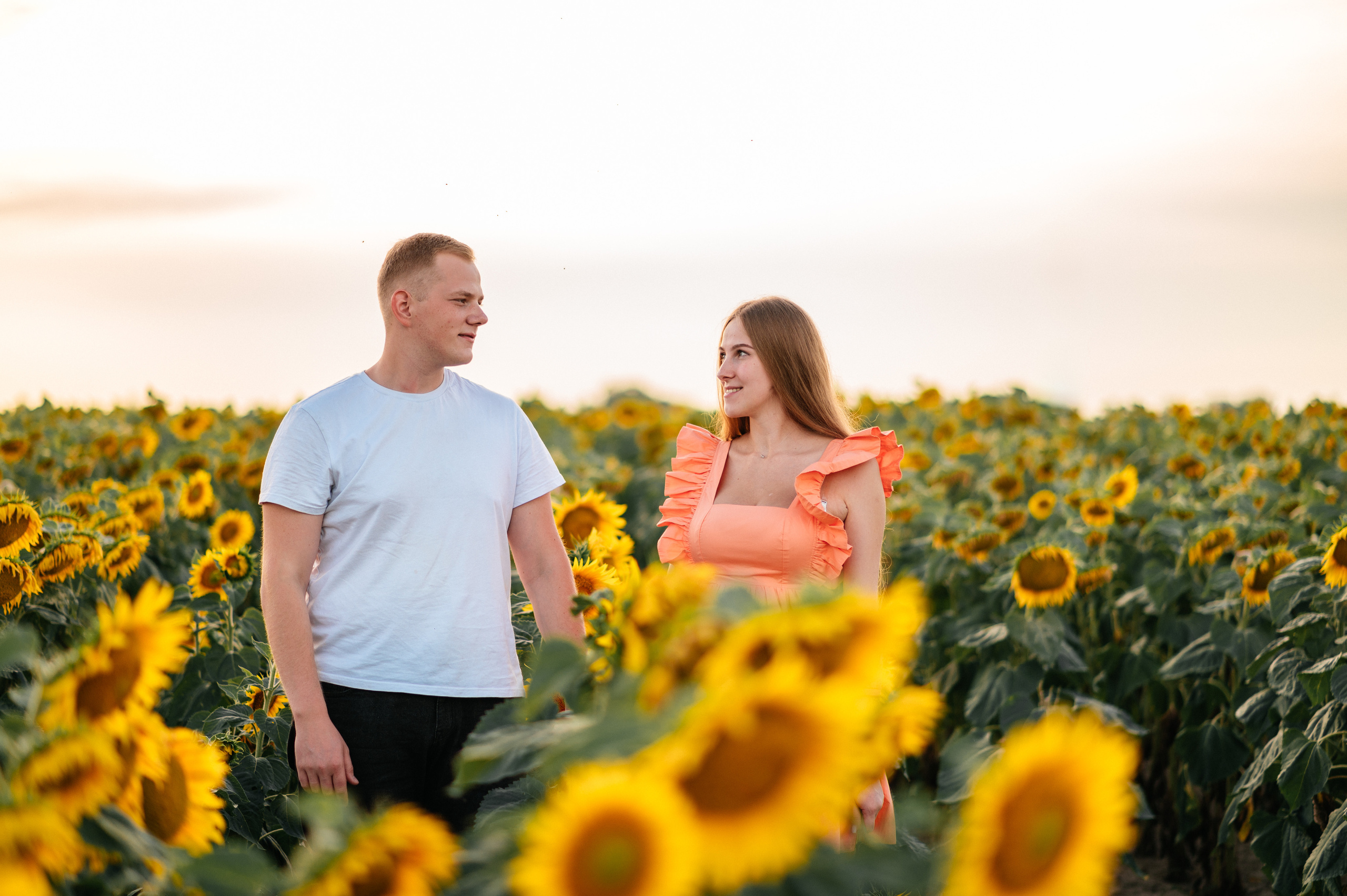 Фотосессия в подсолнухах. Катя Курлович — семейный фотограф в Бобруйске и Минске