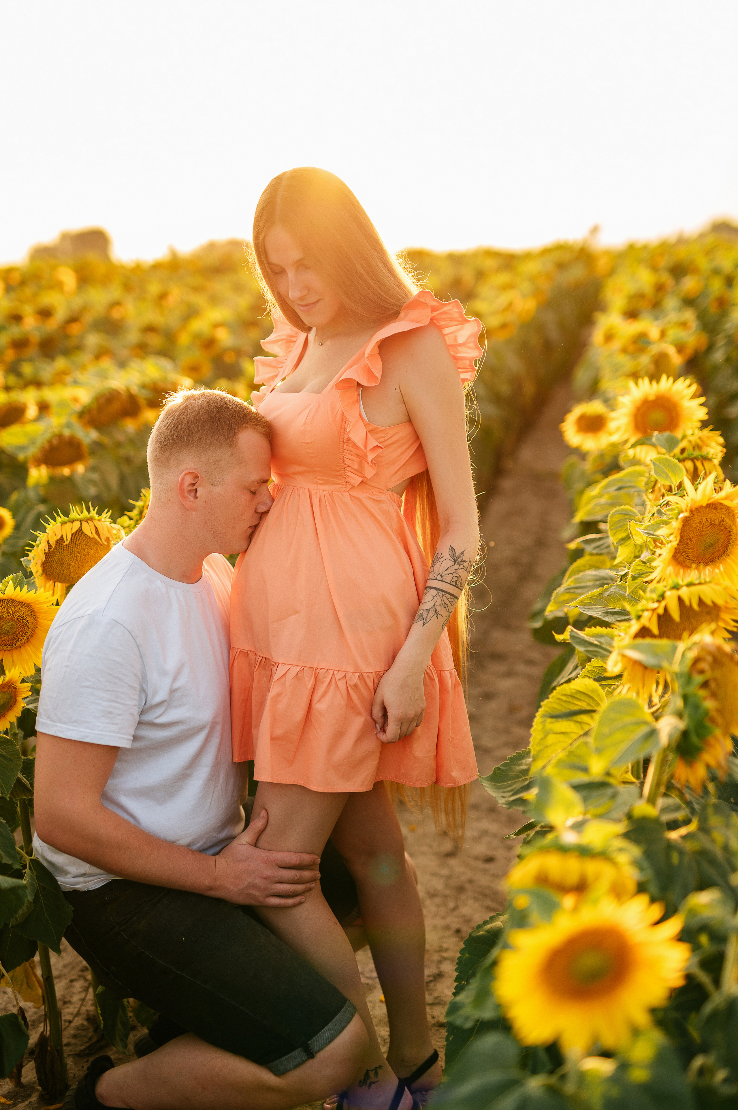 Фотосессия в подсолнухах. Катя Курлович — семейный фотограф в Бобруйске и Минске