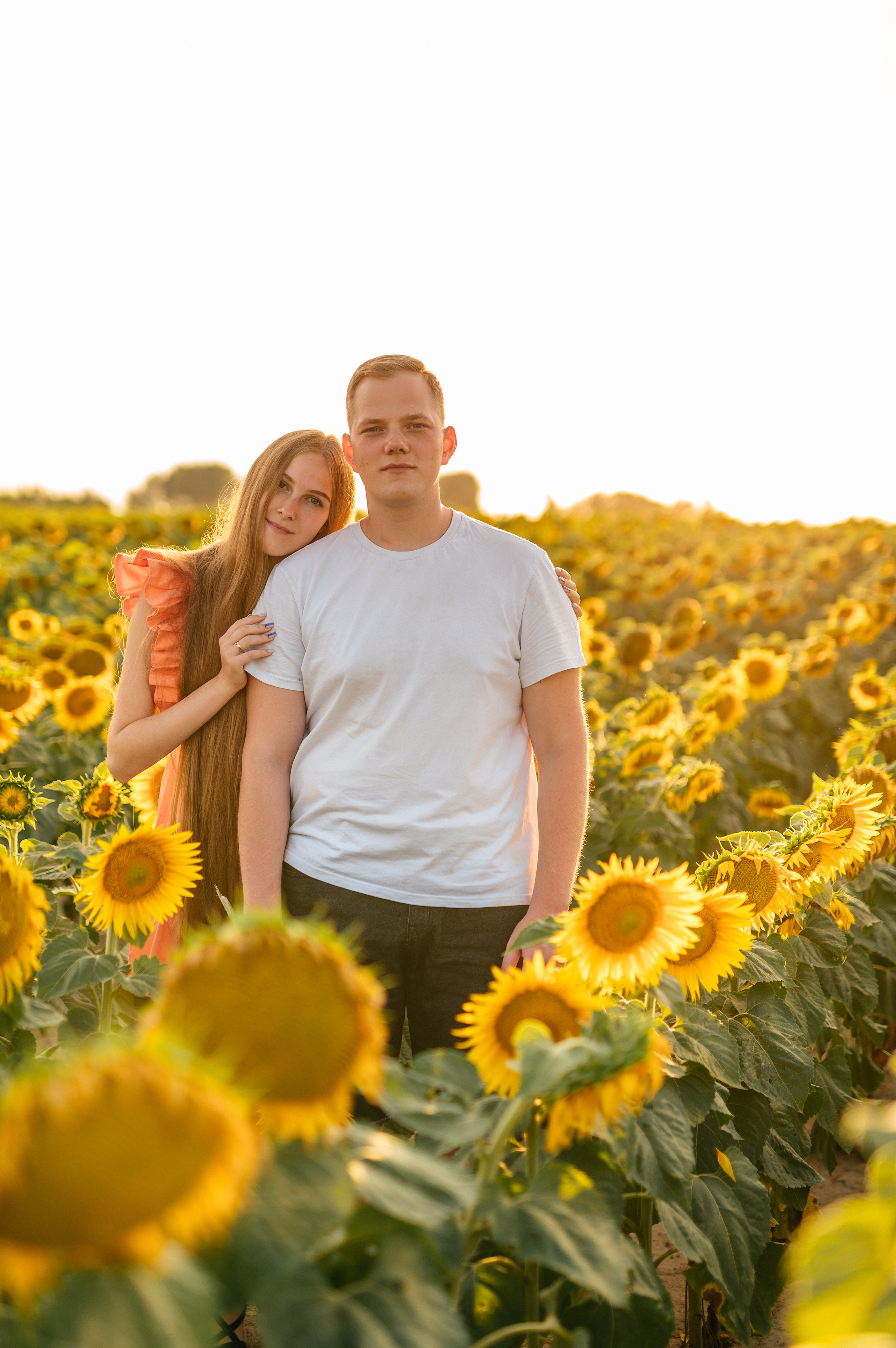Фотосессия в подсолнухах. Катя Курлович — семейный фотограф в Бобруйске и Минске
