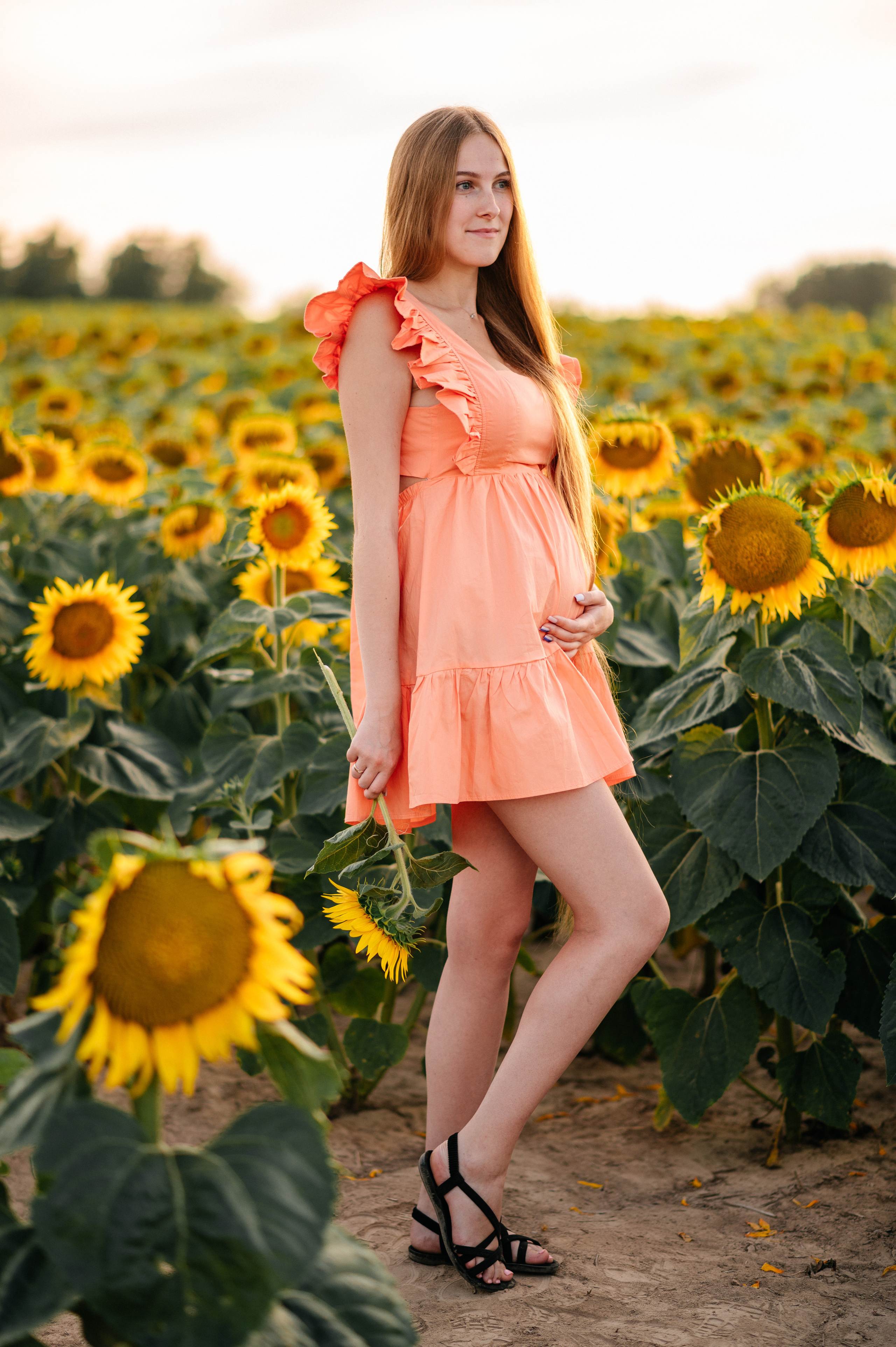 Фотосессия в подсолнухах. Катя Курлович — семейный фотограф в Бобруйске и Минске