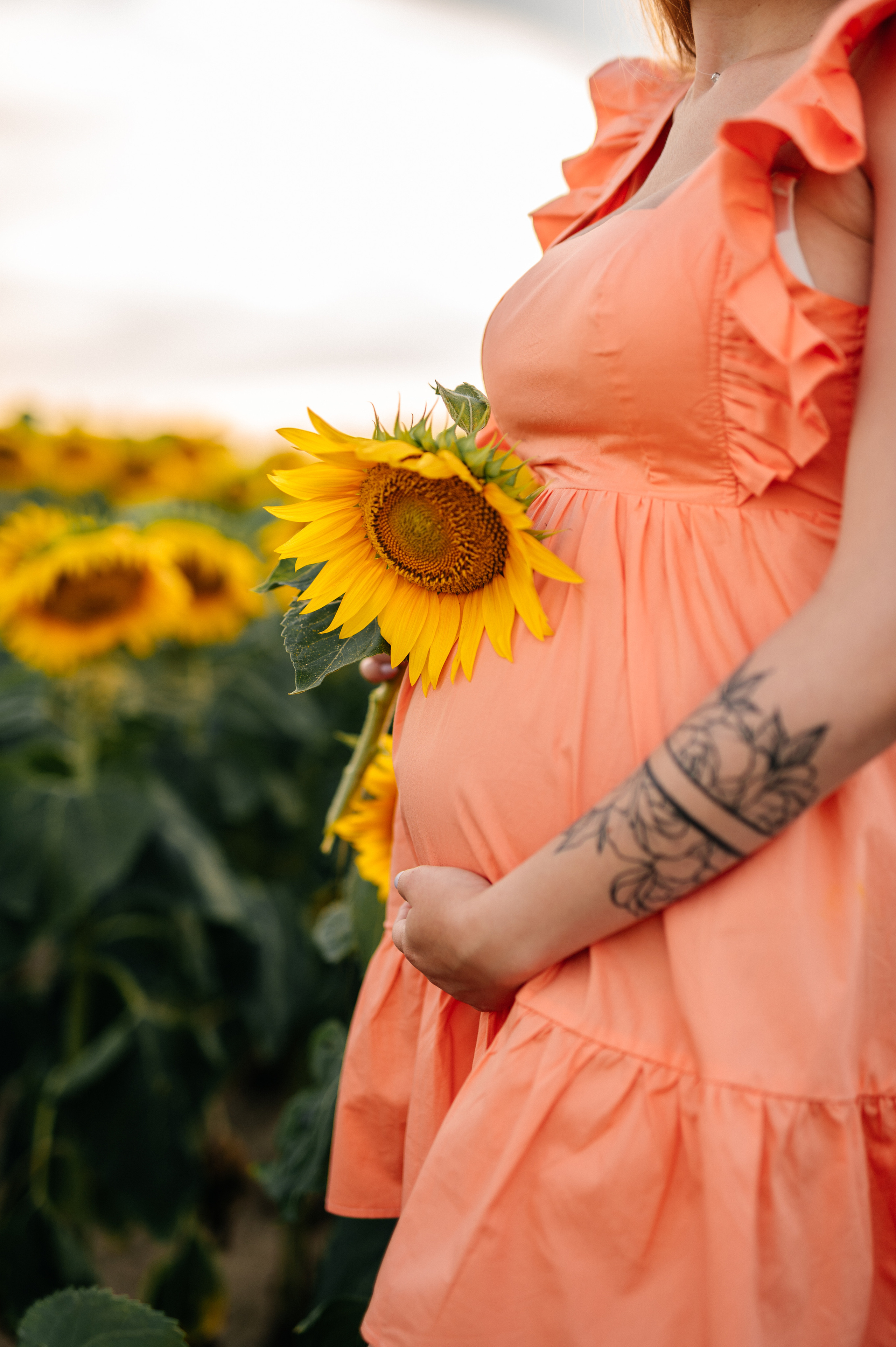 Фотосессия в подсолнухах. Катя Курлович — семейный фотограф в Бобруйске и Минске