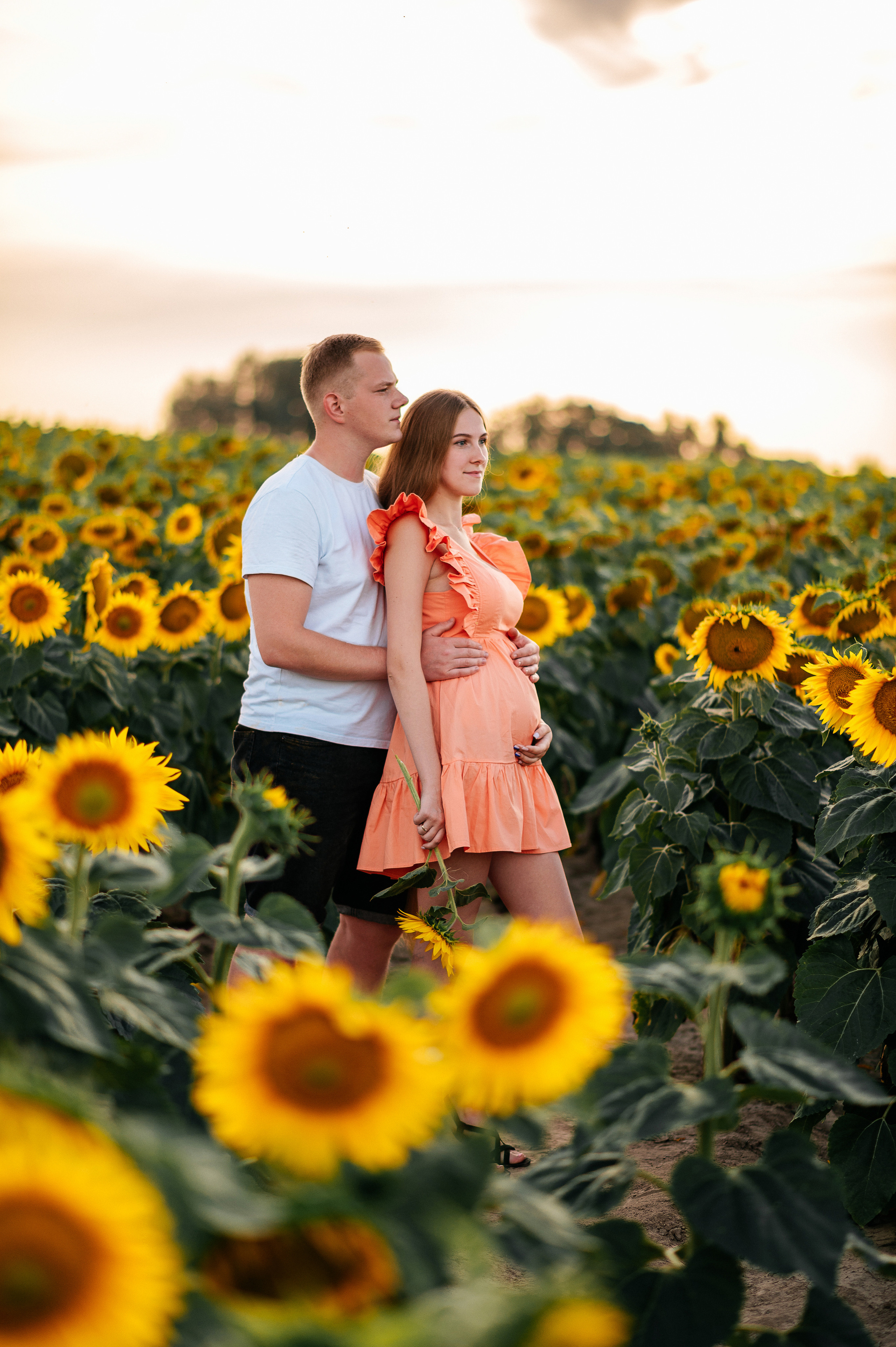 Фотосессия в подсолнухах. Катя Курлович — семейный фотограф в Бобруйске и Минске