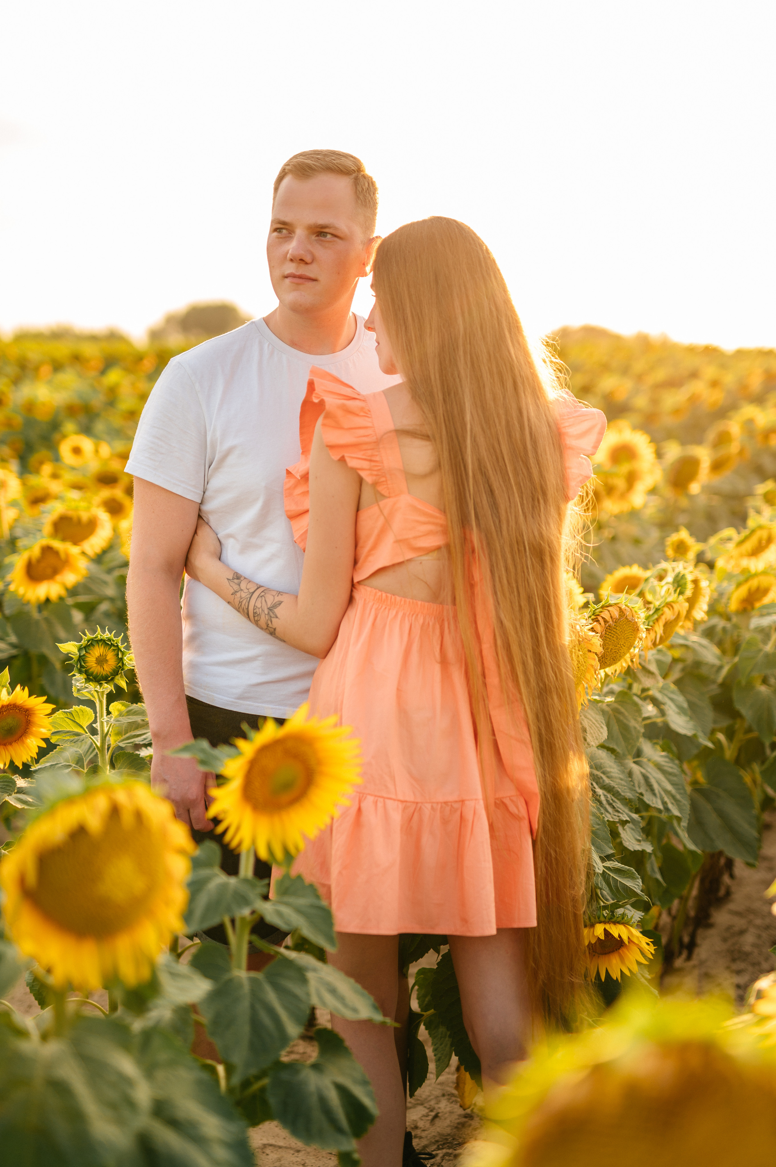 Фотосессия в подсолнухах. Катя Курлович — семейный фотограф в Бобруйске и Минске