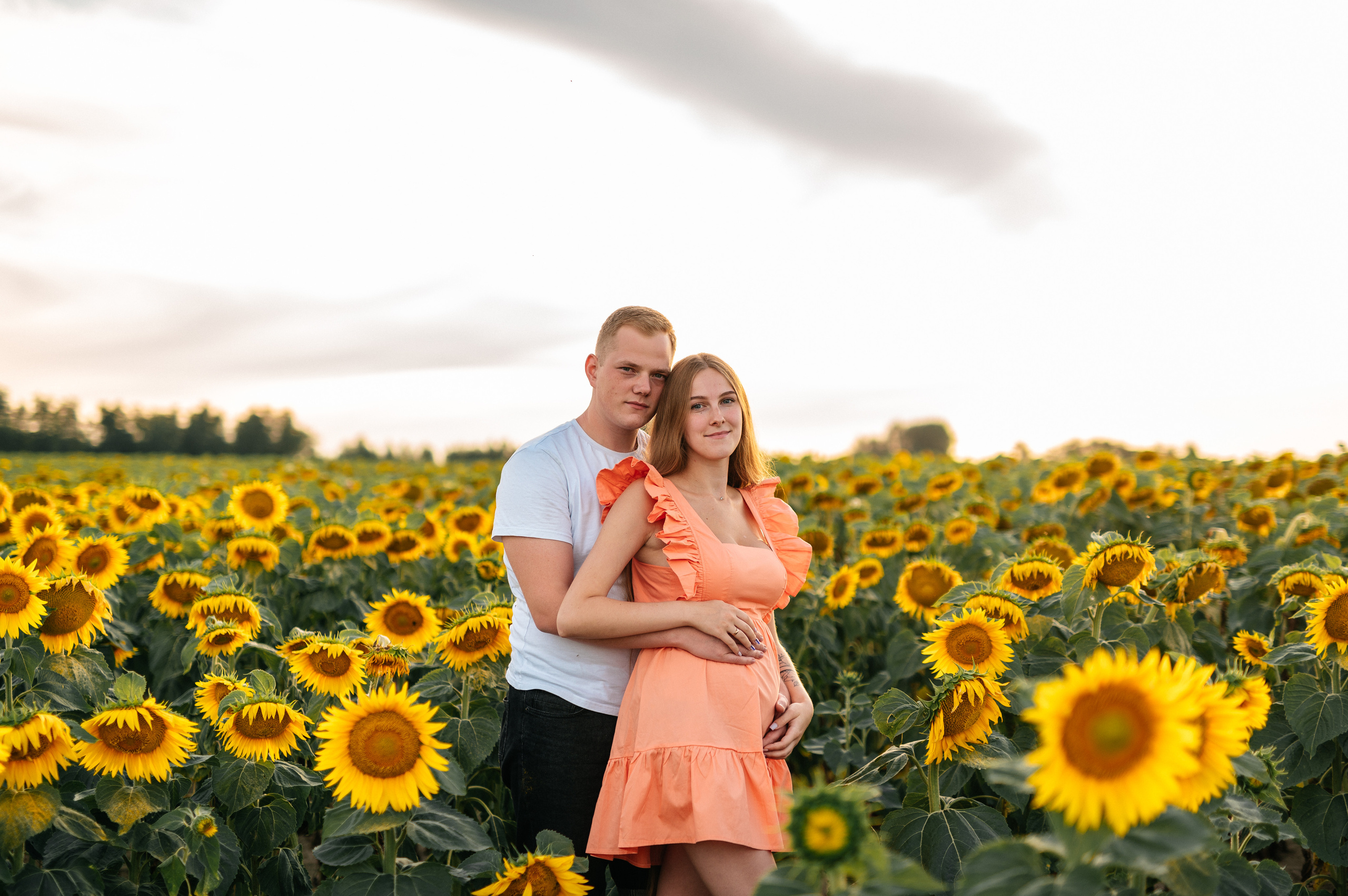 Фотосессия в подсолнухах. Катя Курлович — семейный фотограф в Бобруйске и Минске