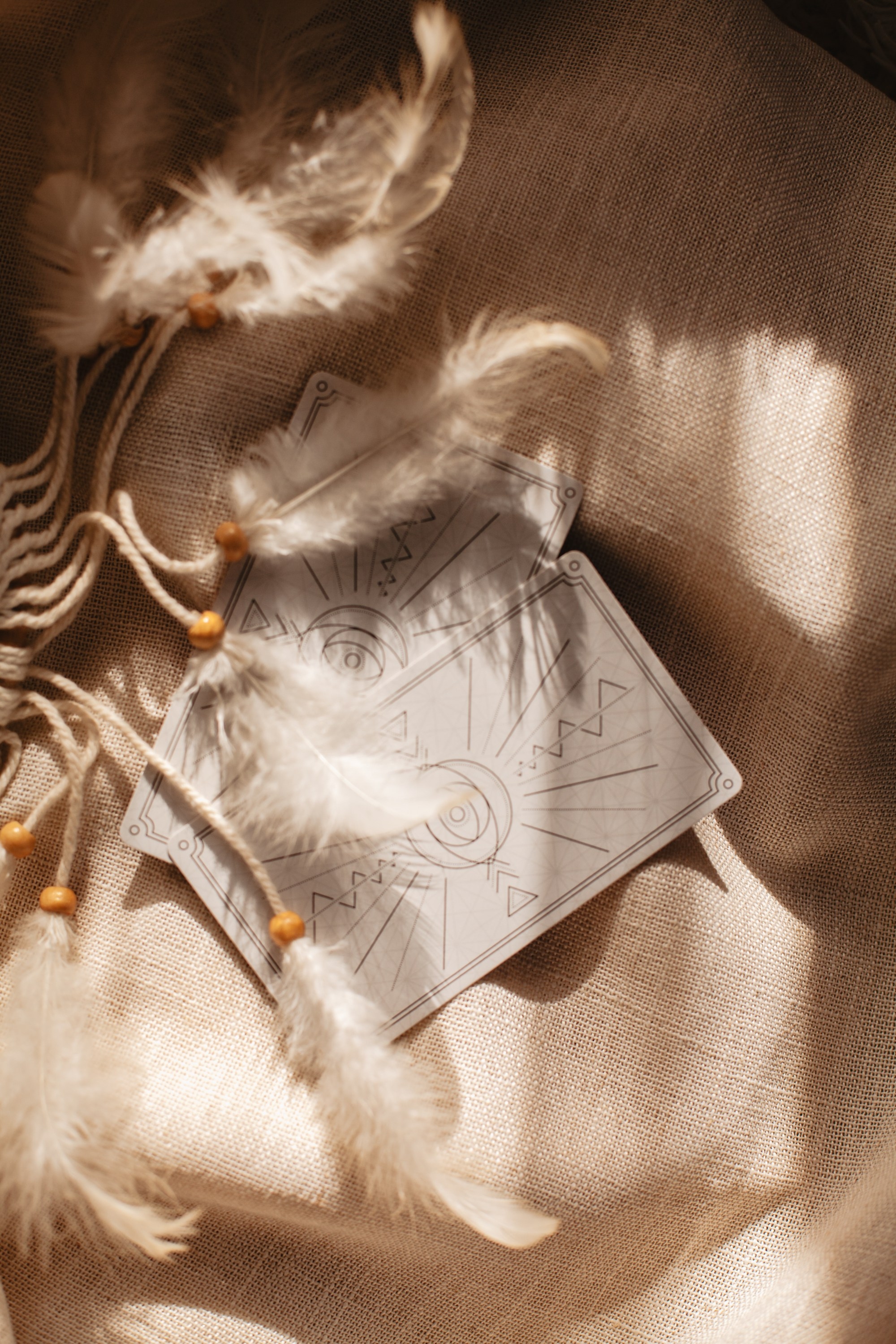 Таро. Виолетта Скрипка