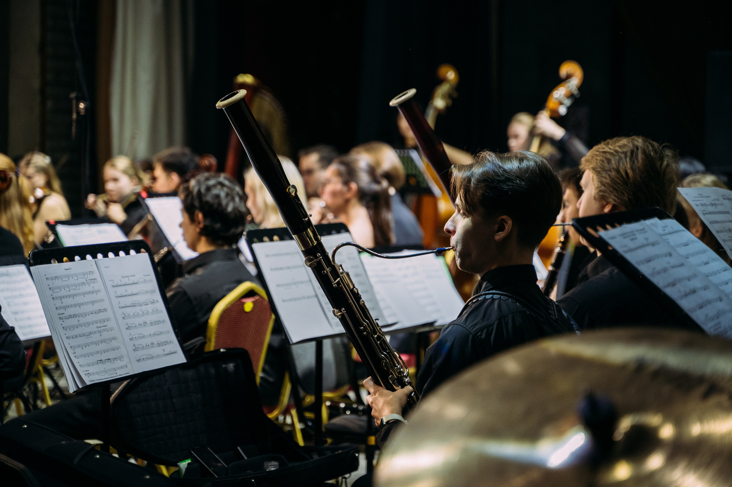 Симфонический оркестр. Фотограф в Волгограде Марина Черных