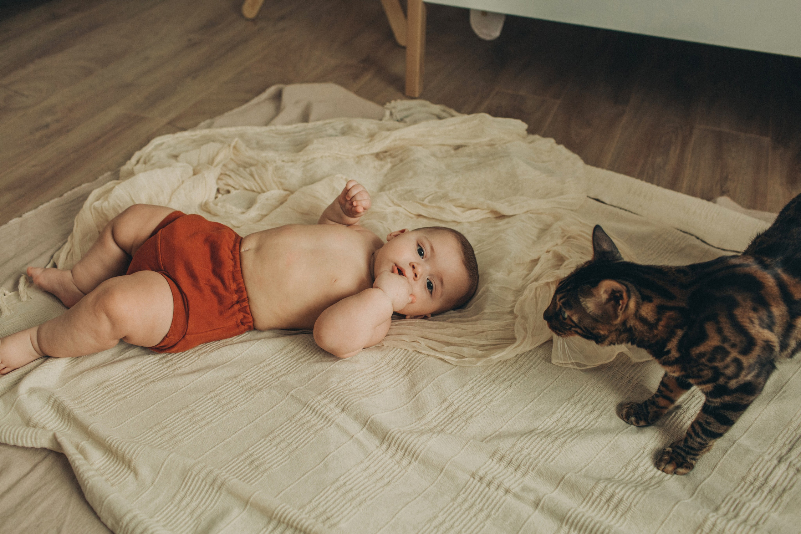 Лев, Мила, Леша. Семейный фотограф Томск