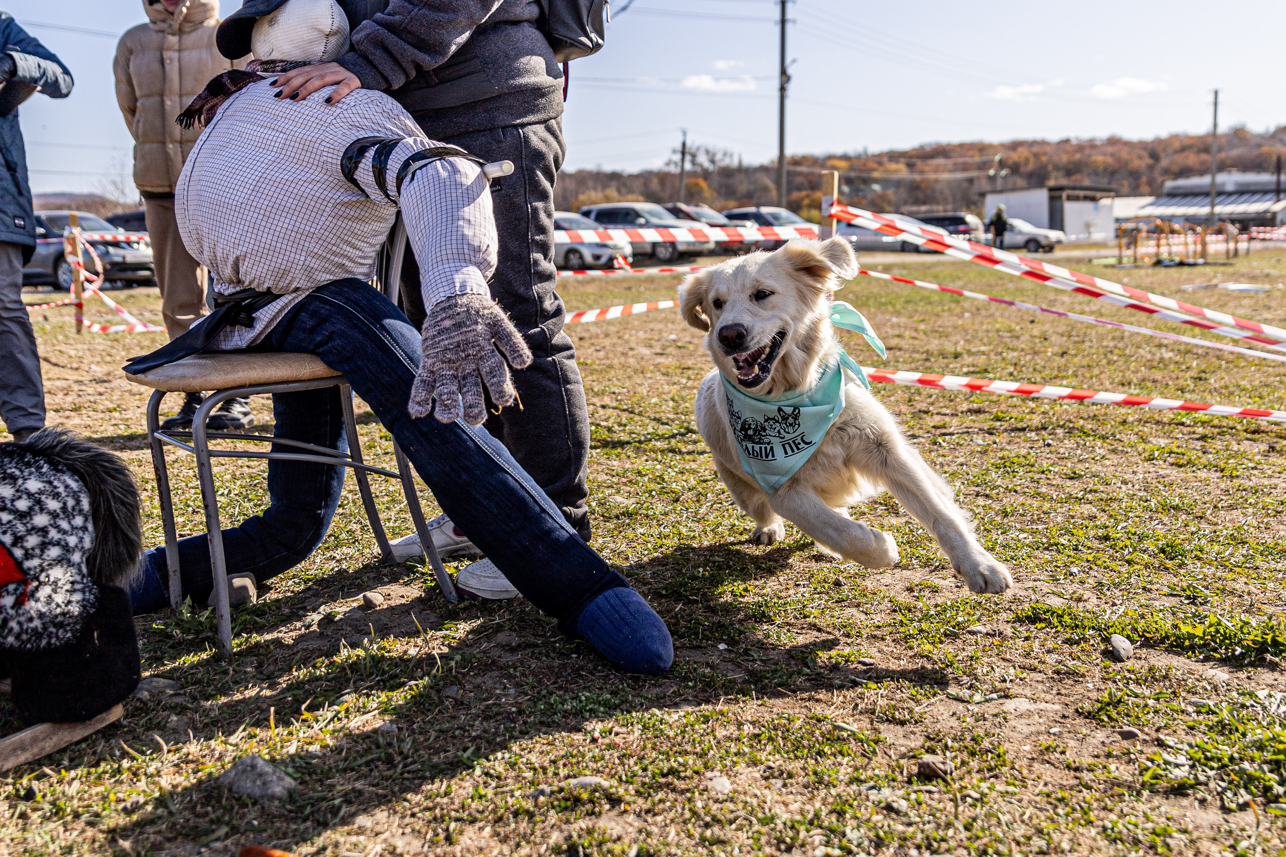 Кинологический квест г. Находка