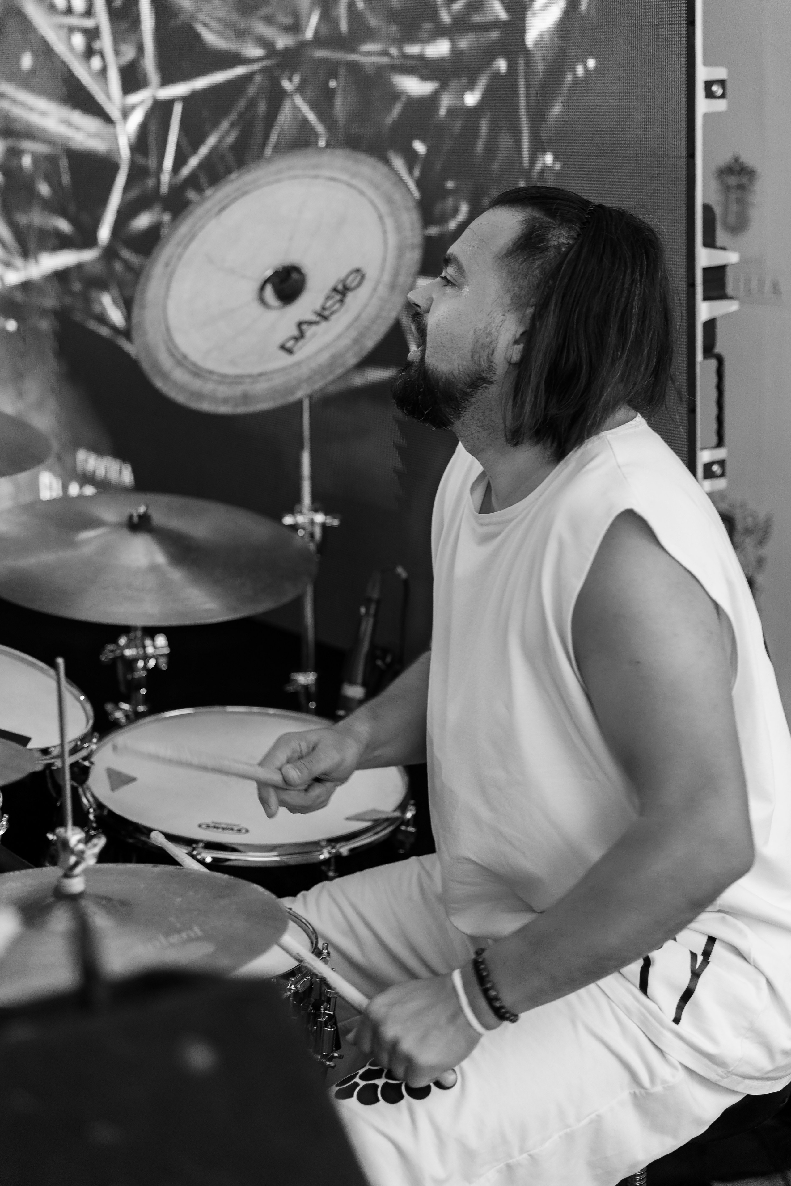 Бабочки. Фотограф Елена Краснопевцева