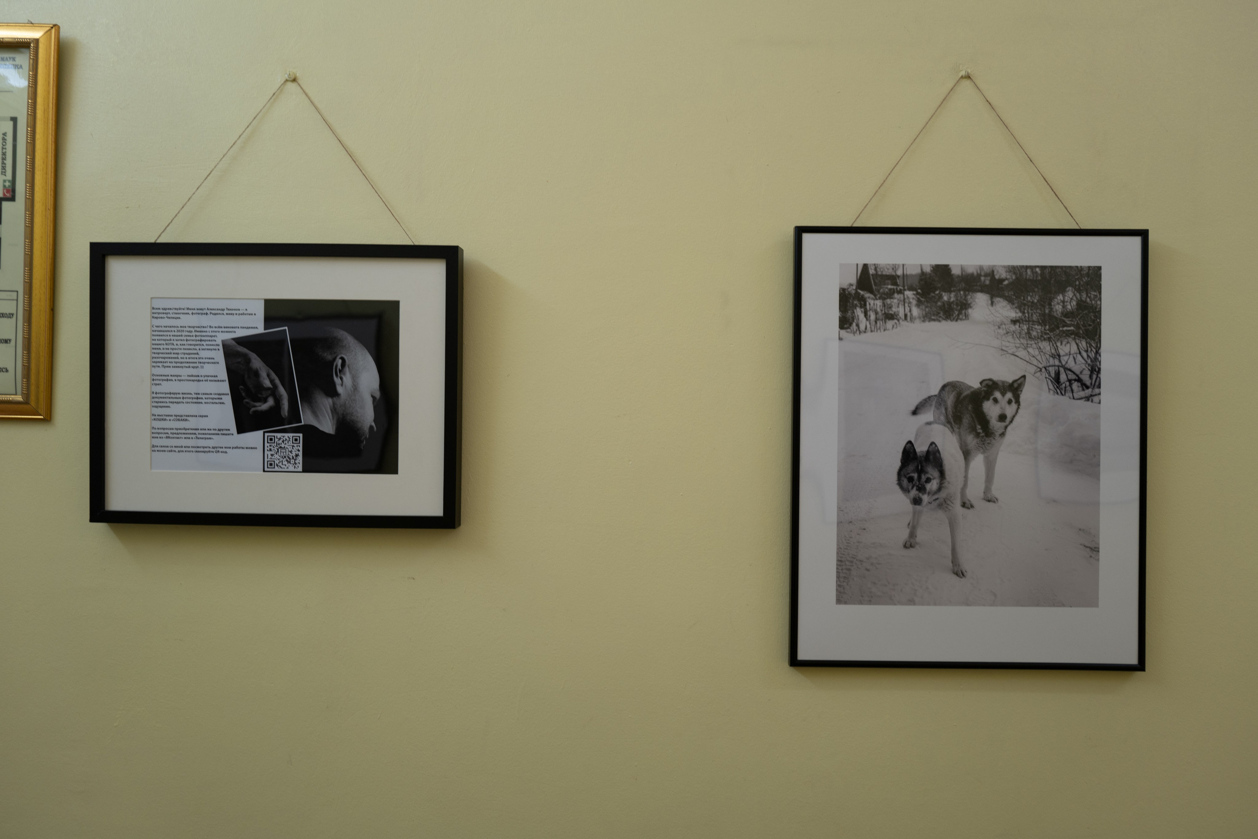 Выставка 01.04.2025. Фотограф Александр Тихонов