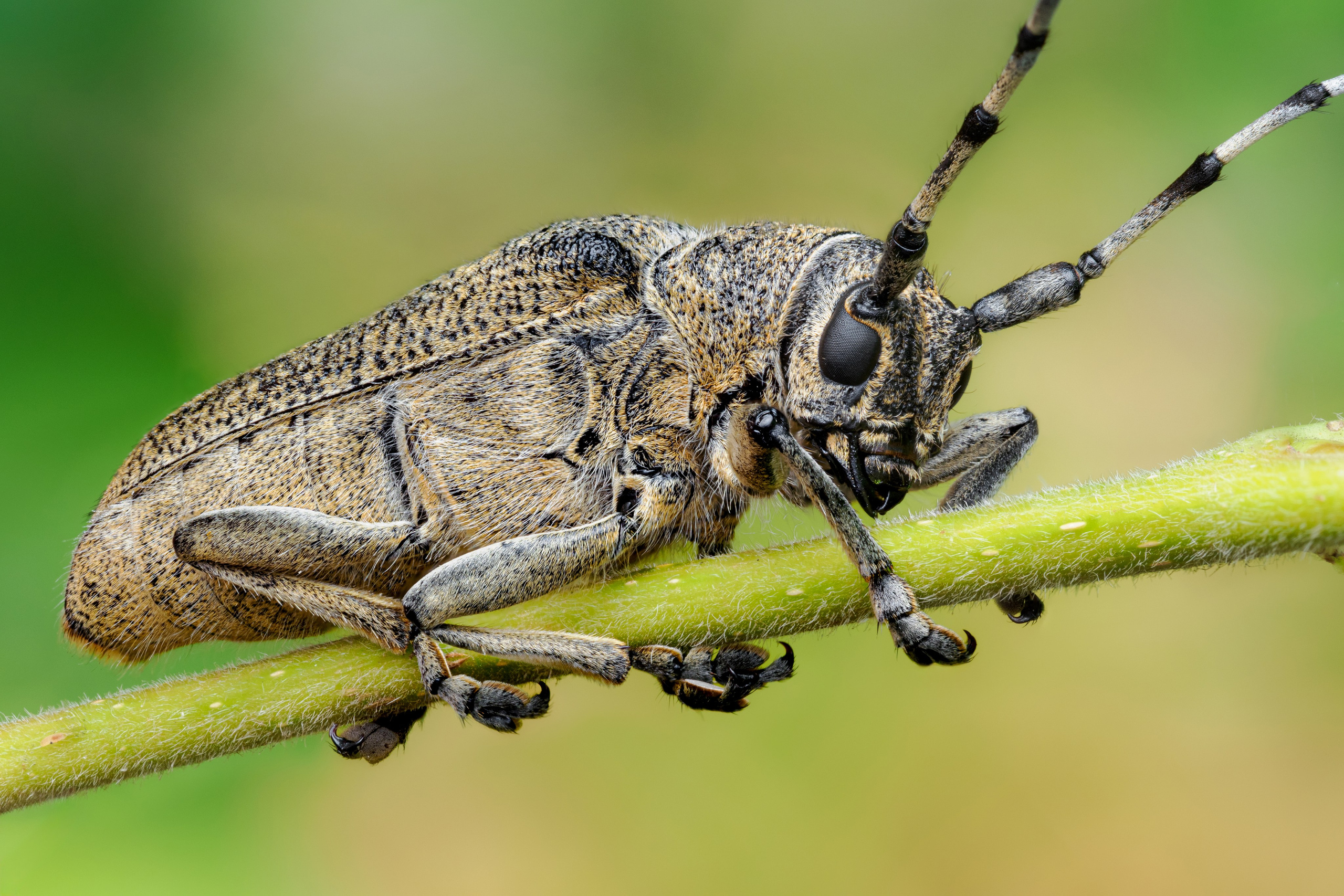 Macrolover | Блог о макро и не только