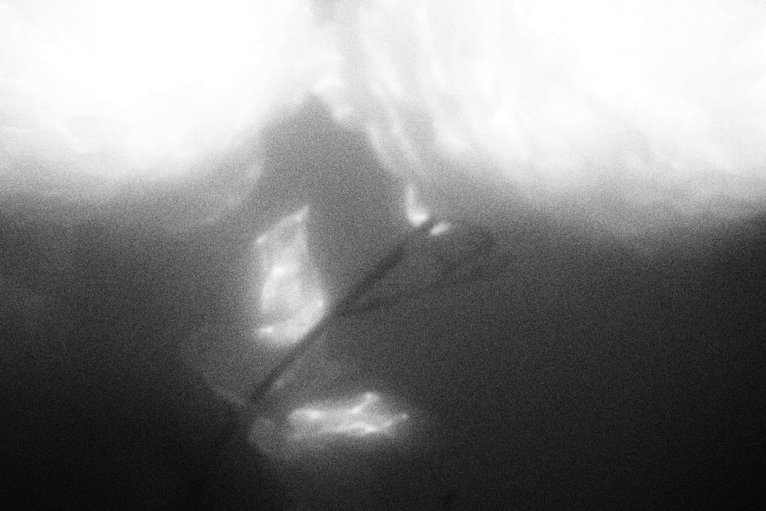 «Видеть. Чувствовать. Сохранять»