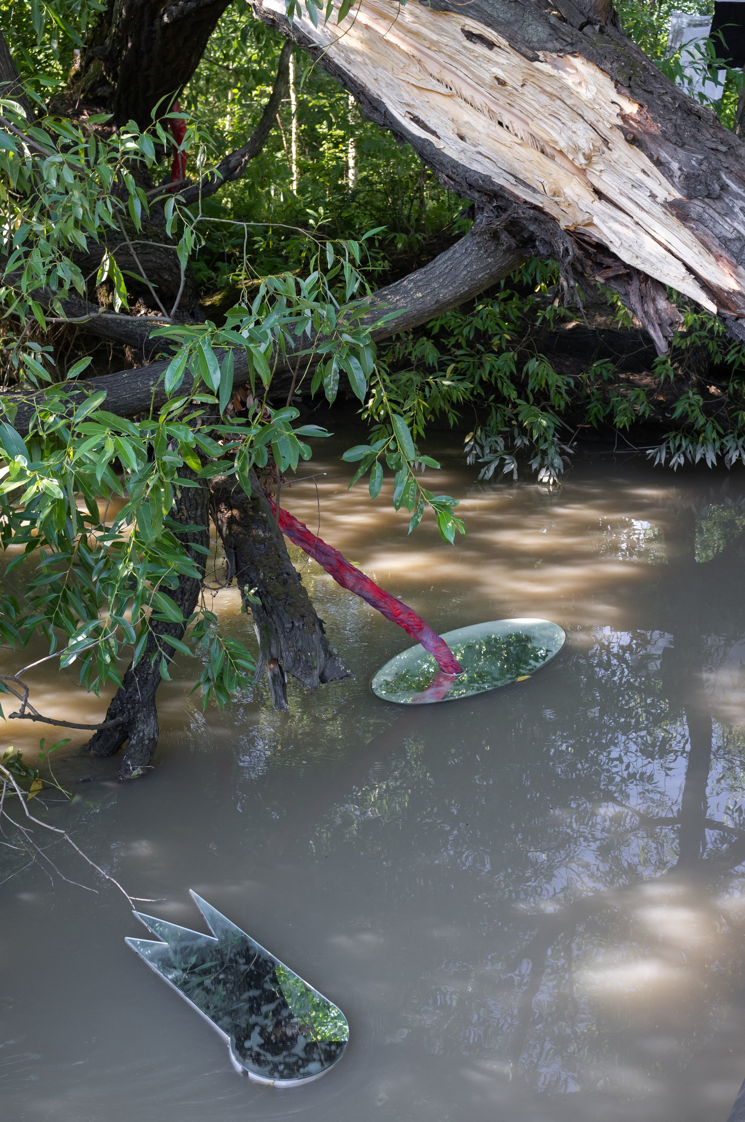 Красненькая биеннале 2023 (СПБ)