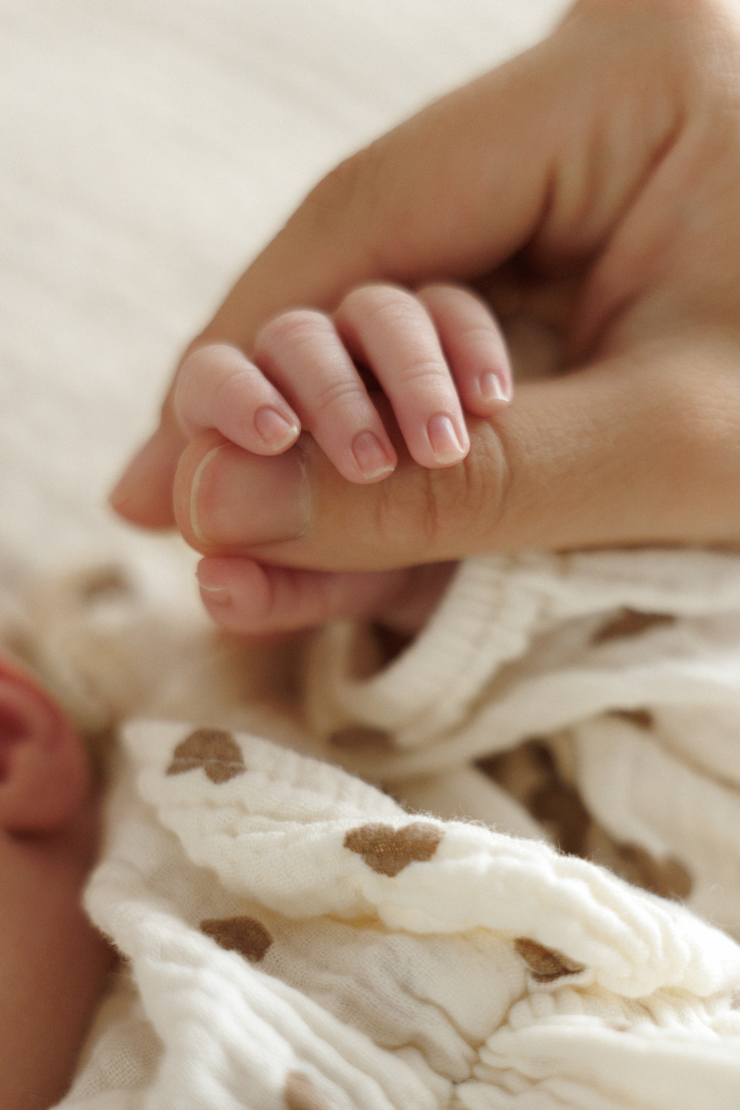 Newborn. Семейный фотограф в Москве