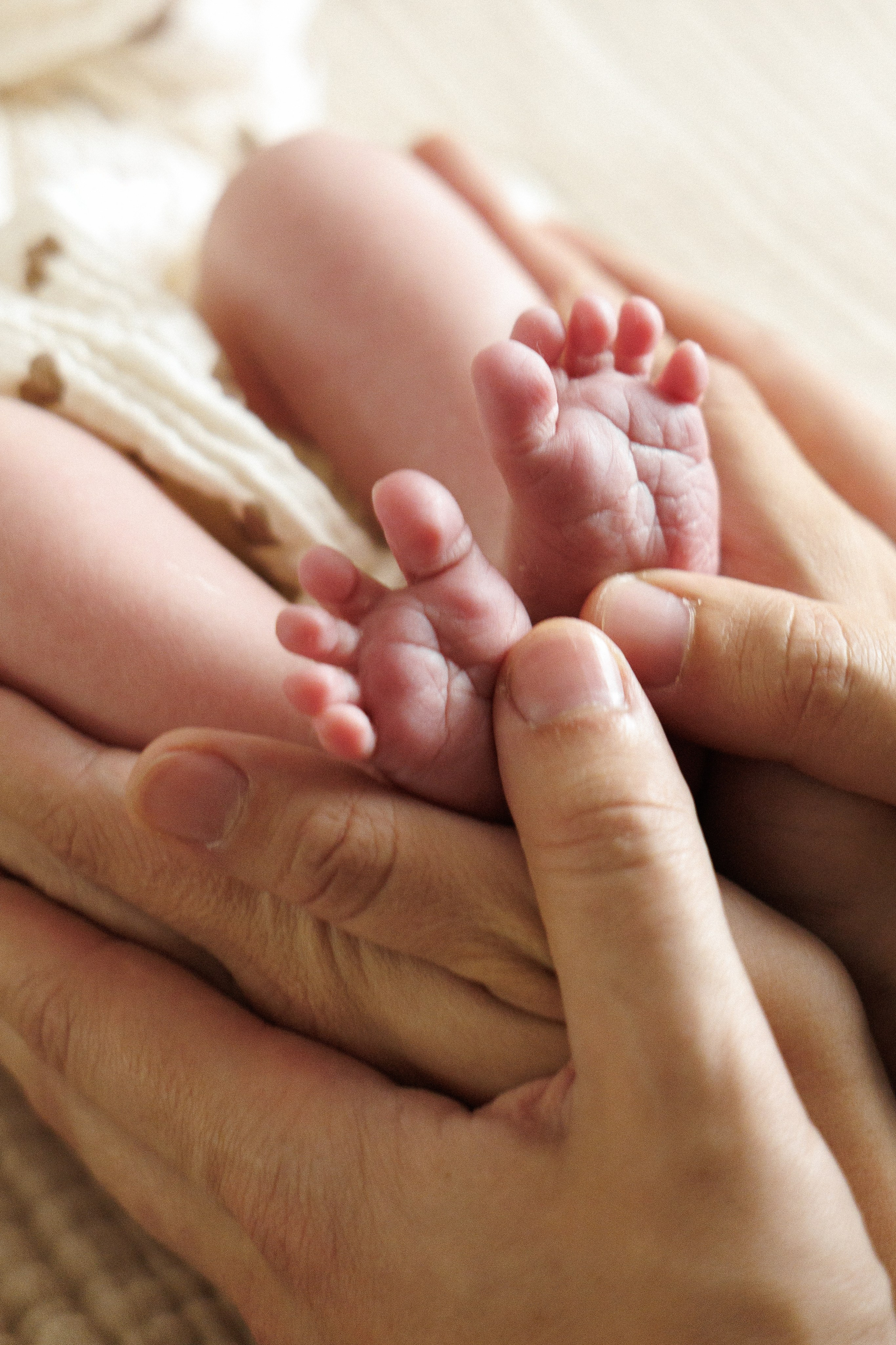 Newborn. Семейный фотограф в Москве