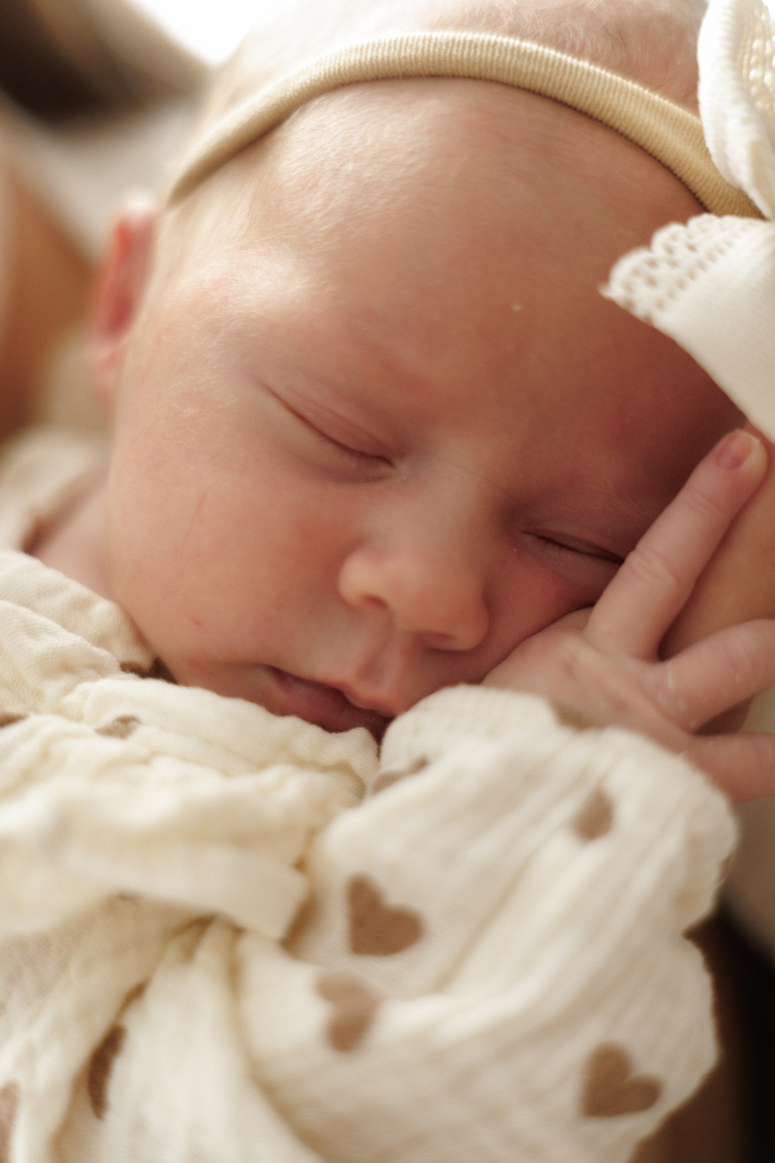 Newborn. Семейный фотограф в Москве