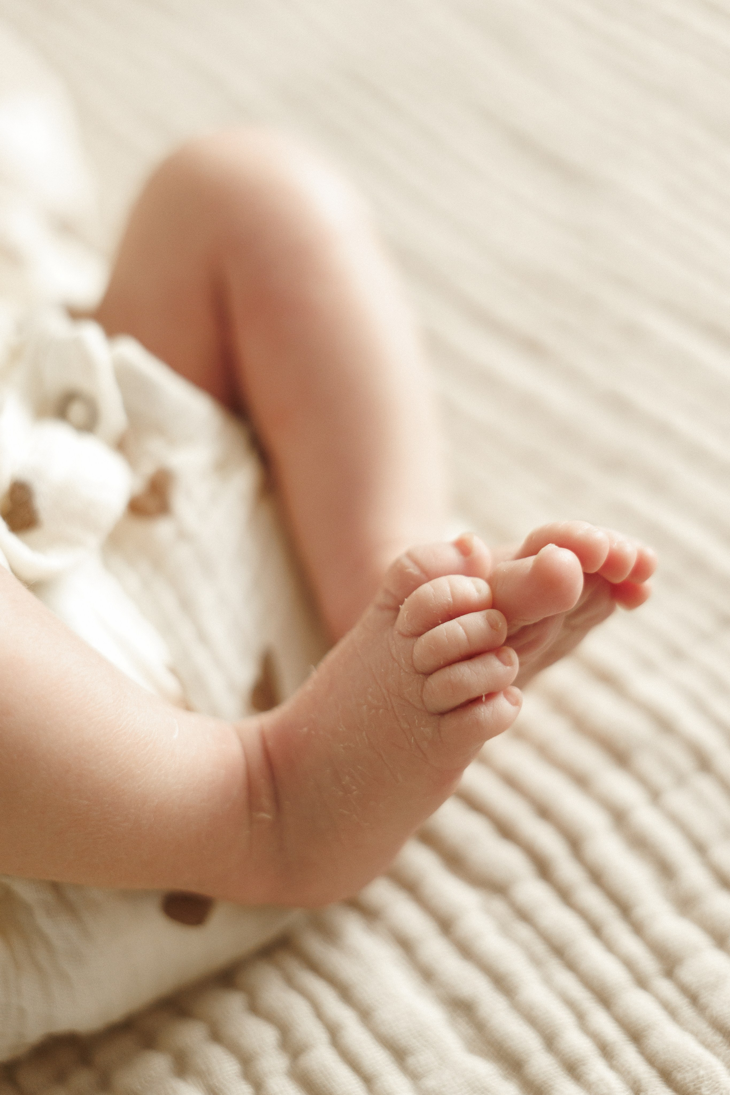 Newborn. Семейный фотограф в Москве