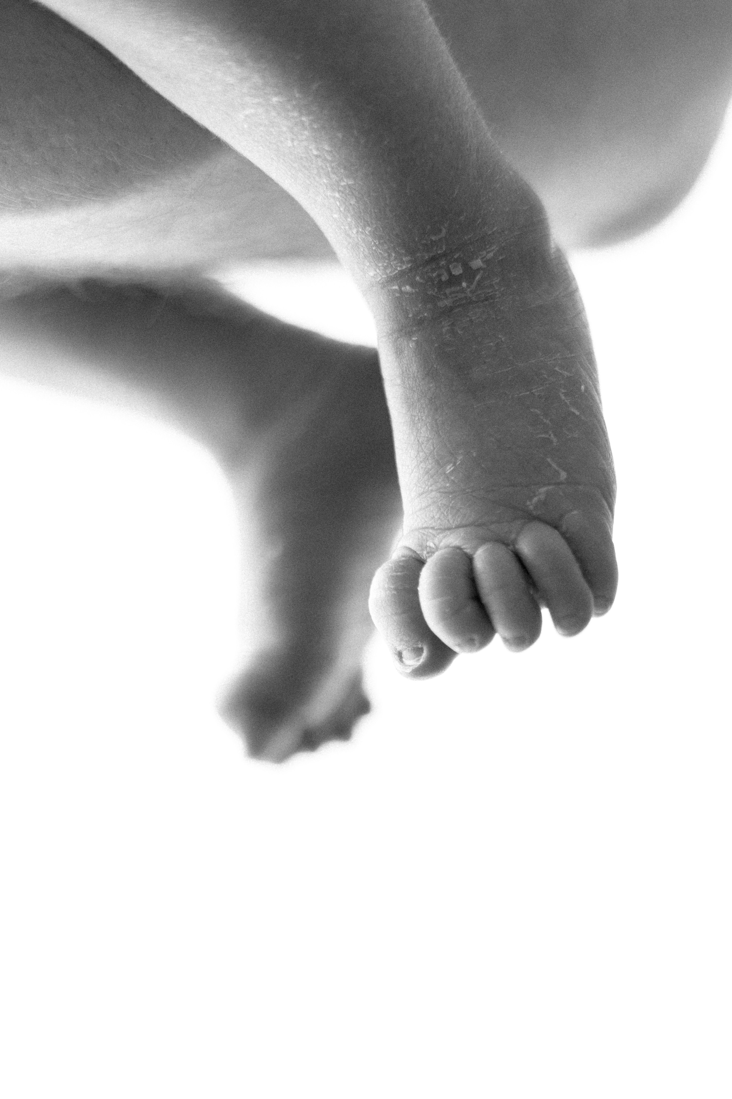 Newborn. Семейный фотограф в Москве