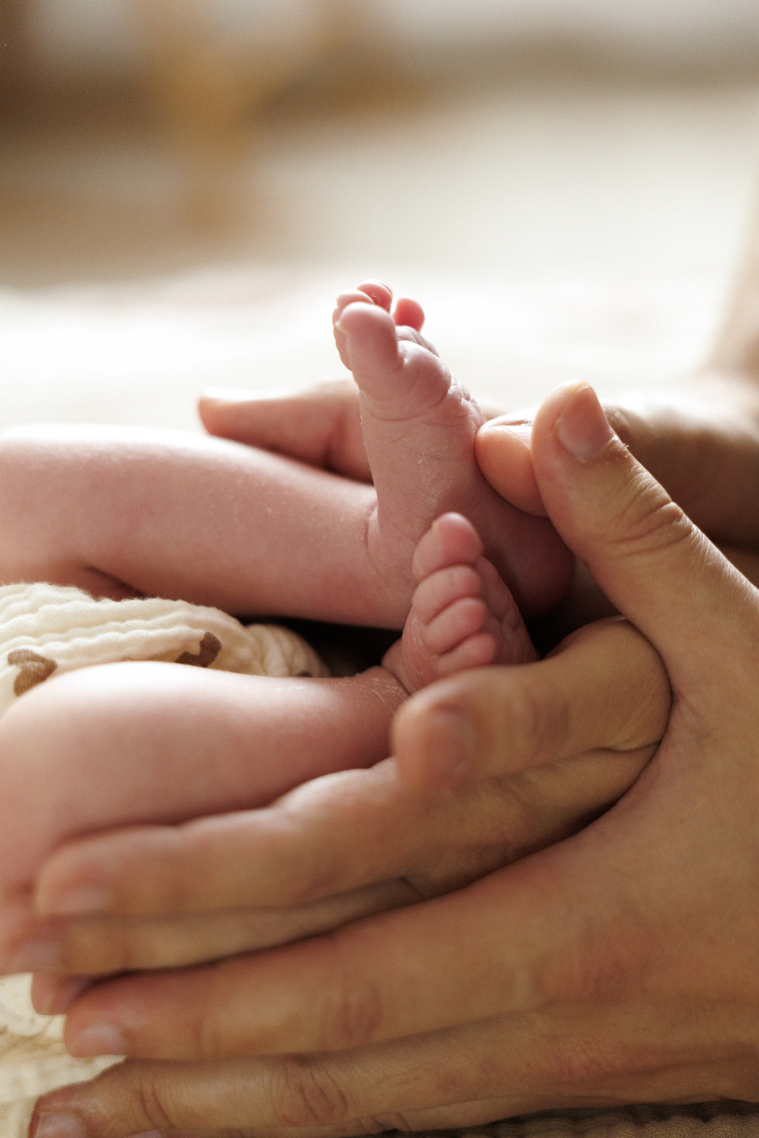 Newborn. Семейный фотограф в Москве