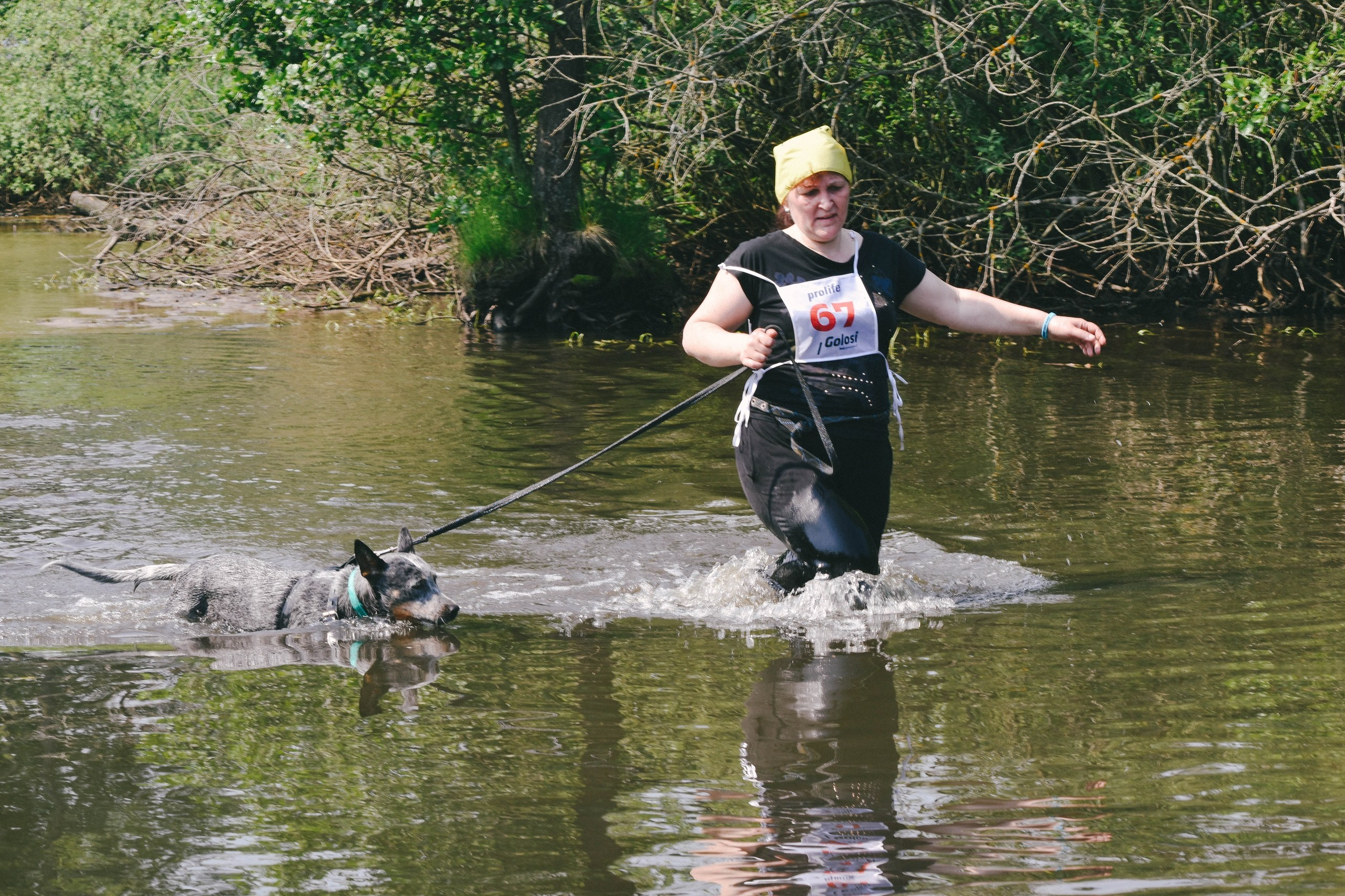 Хвостатый драйв 2019. Семейный фотограф в Москве и Севастополе Анастасия Котова