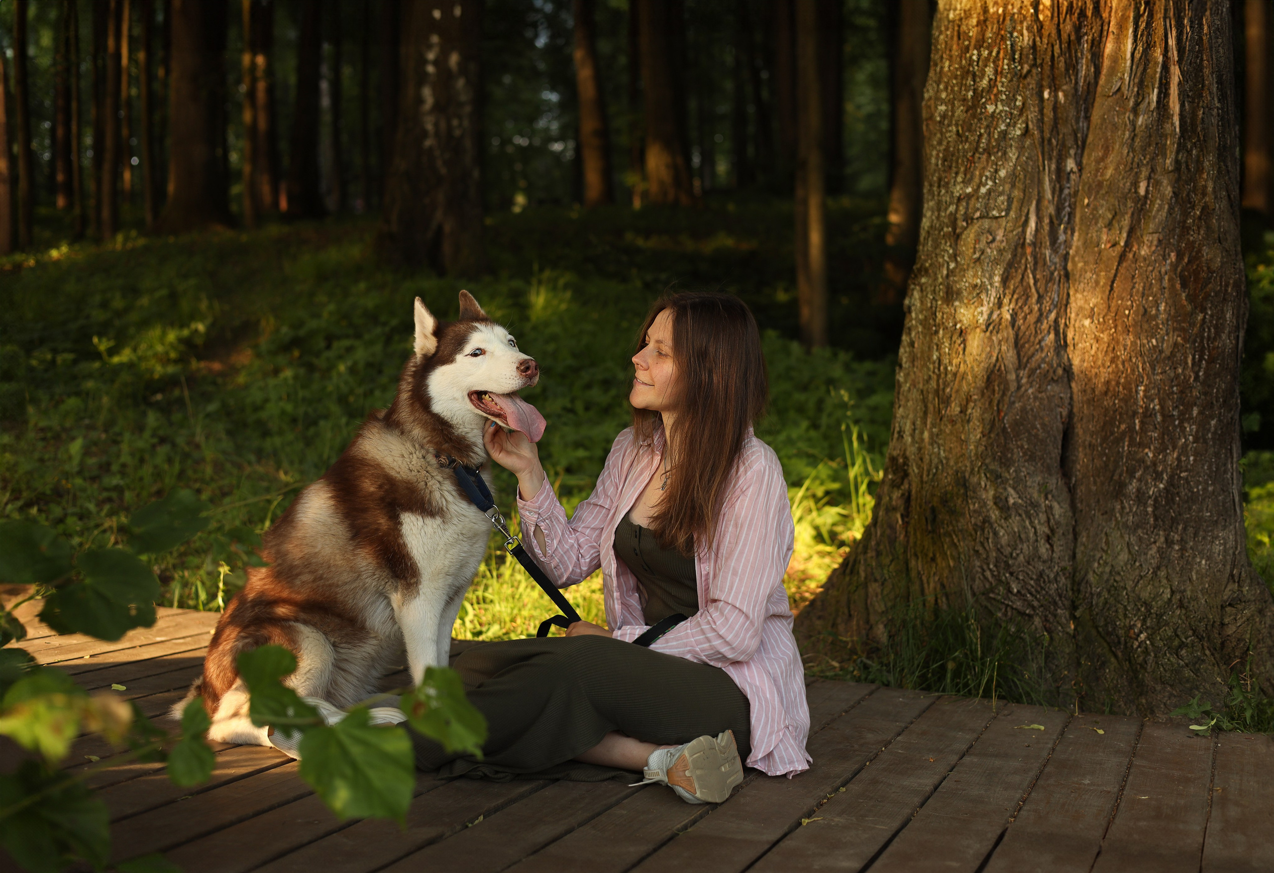 девушка играет с собакой на фотосессии на природе летом в парке