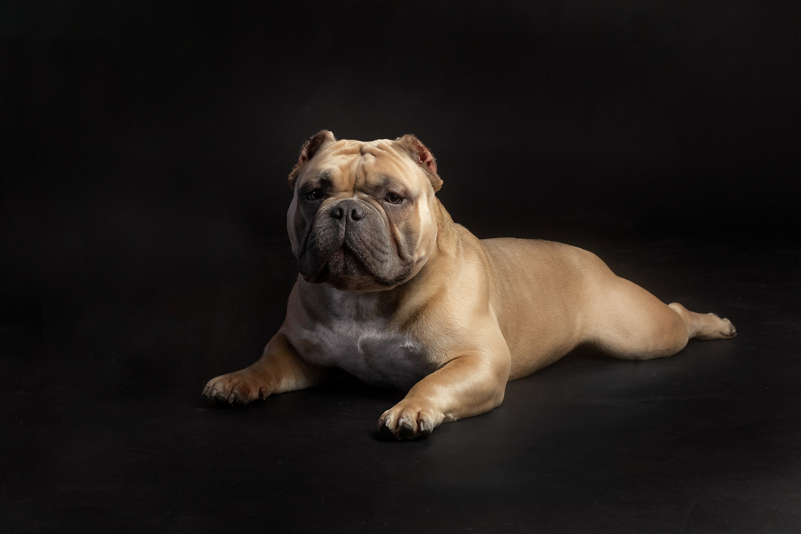 Фотограф в Хабаровске — запись на съёмку. Алена Попова — фотограф в Хабаровске