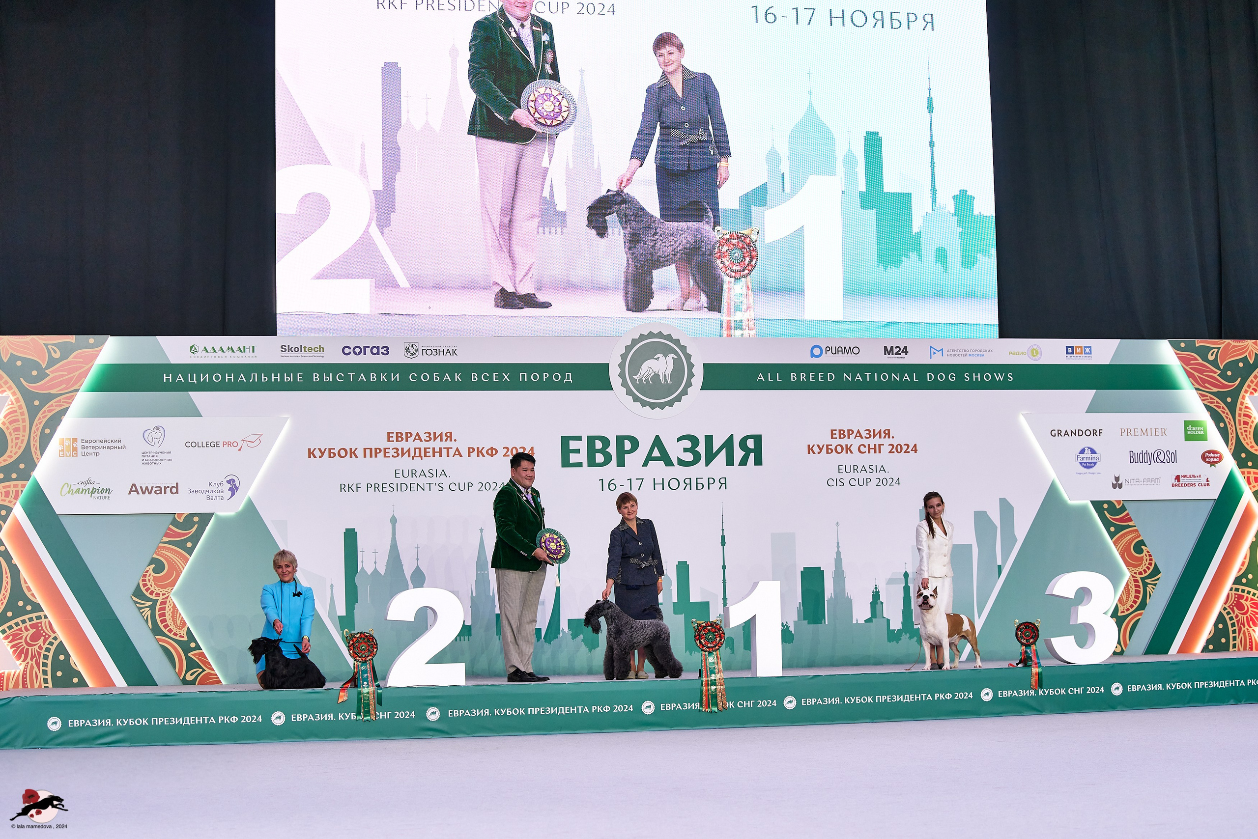 17.11.2024 «ЕВРАЗИЯ. КУБОК СНГ 2024»