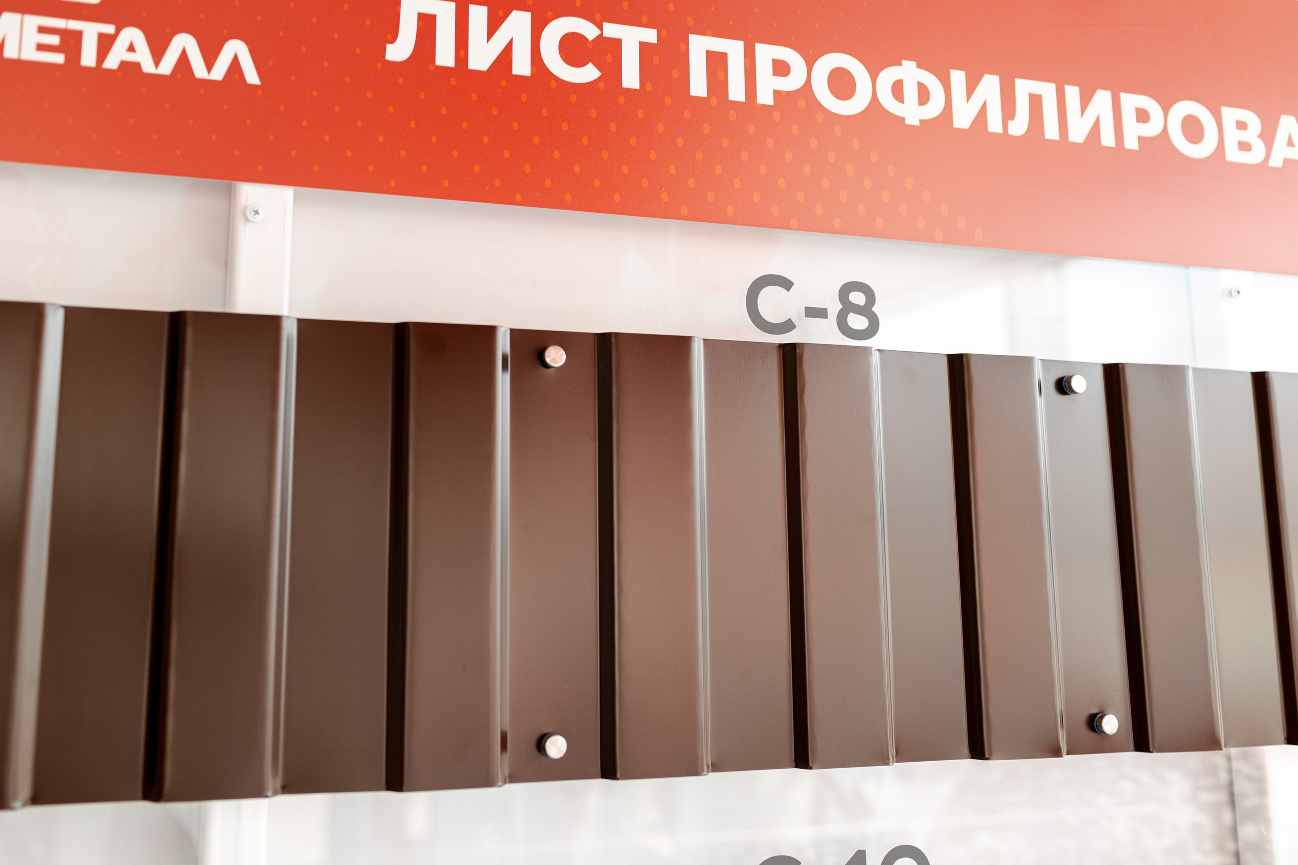 МАЯК открытие. Фотограф свадебный семейный в Красноярске Шукшина Наталья