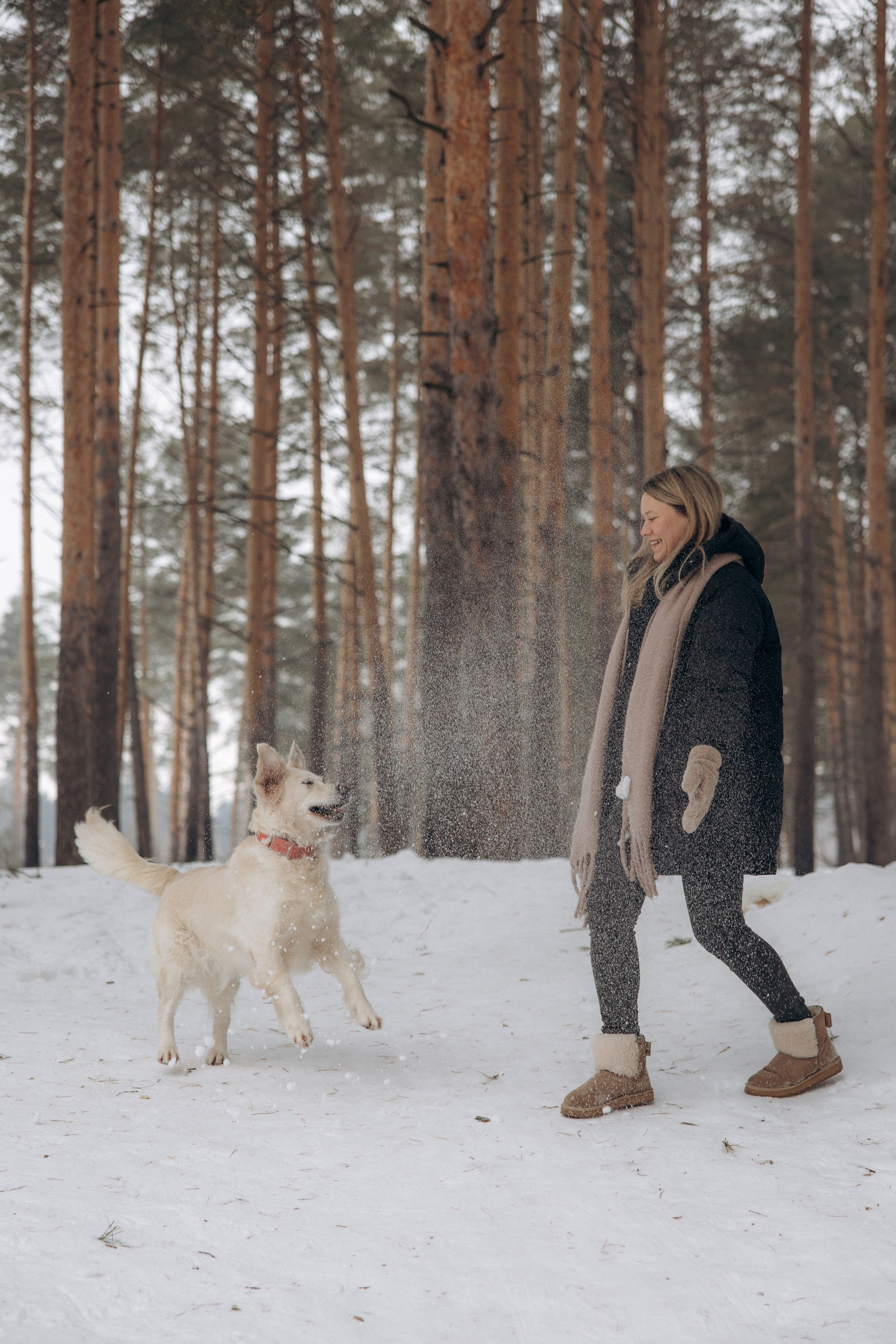 Зима. Лес. Татьяна и Делла. Фотограф анималист в Казани Алина Сулейманова. Фотограф животных