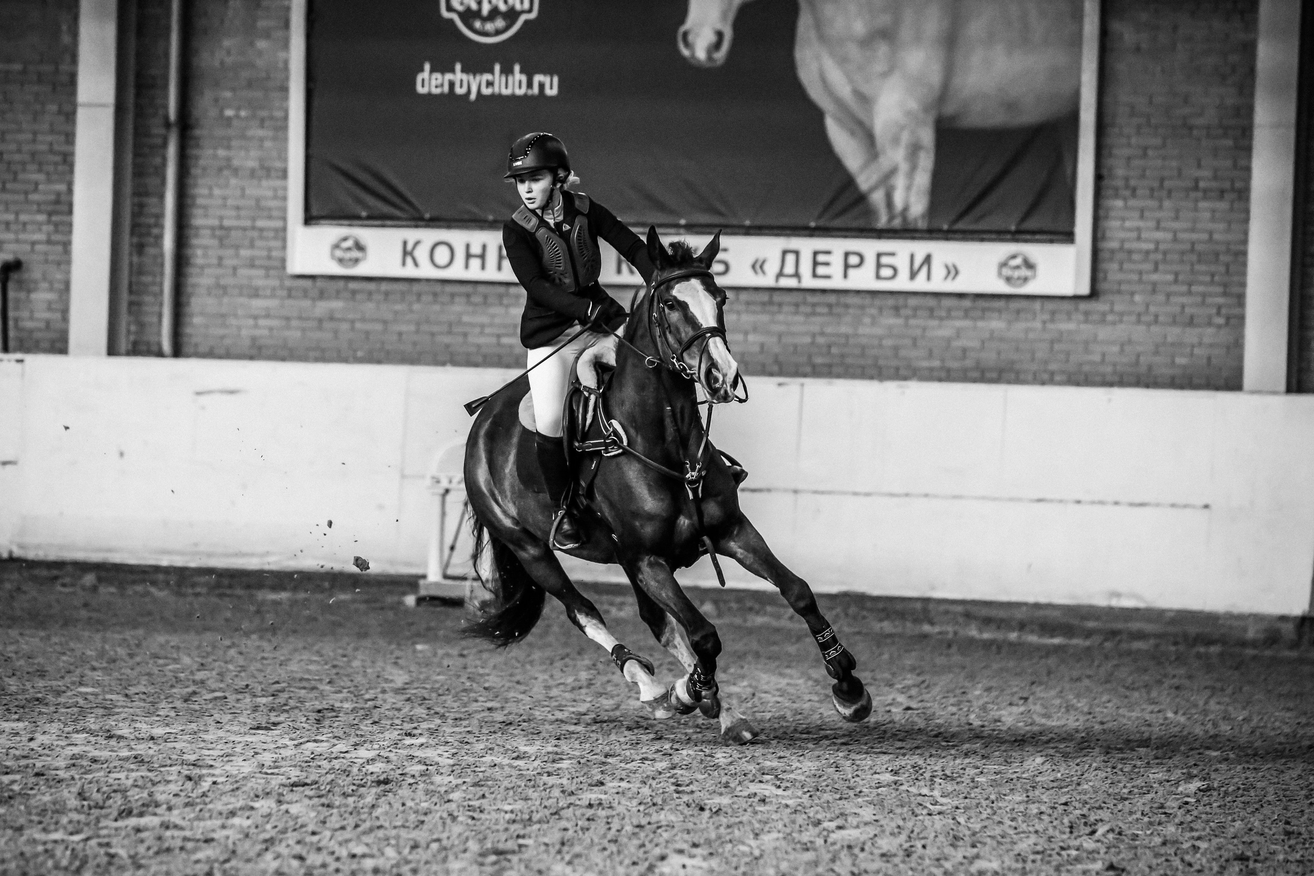 Лошади Евы Демидовой. Ева Демидова. Спортсмен по конкуру в Санкт-Петербуре