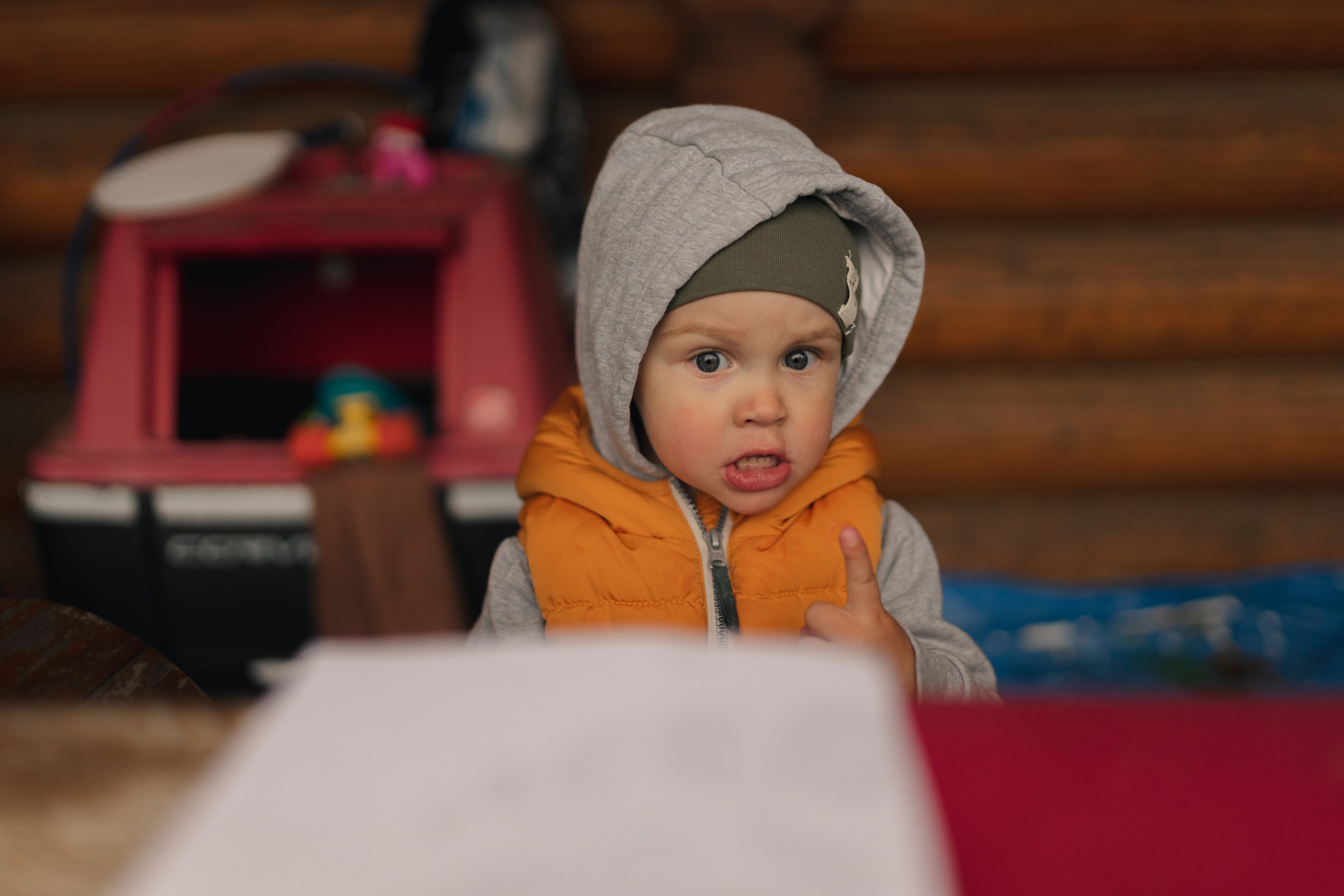 Отзывы. Свадебный фотограф в г. Москва, МО Гороза Алена