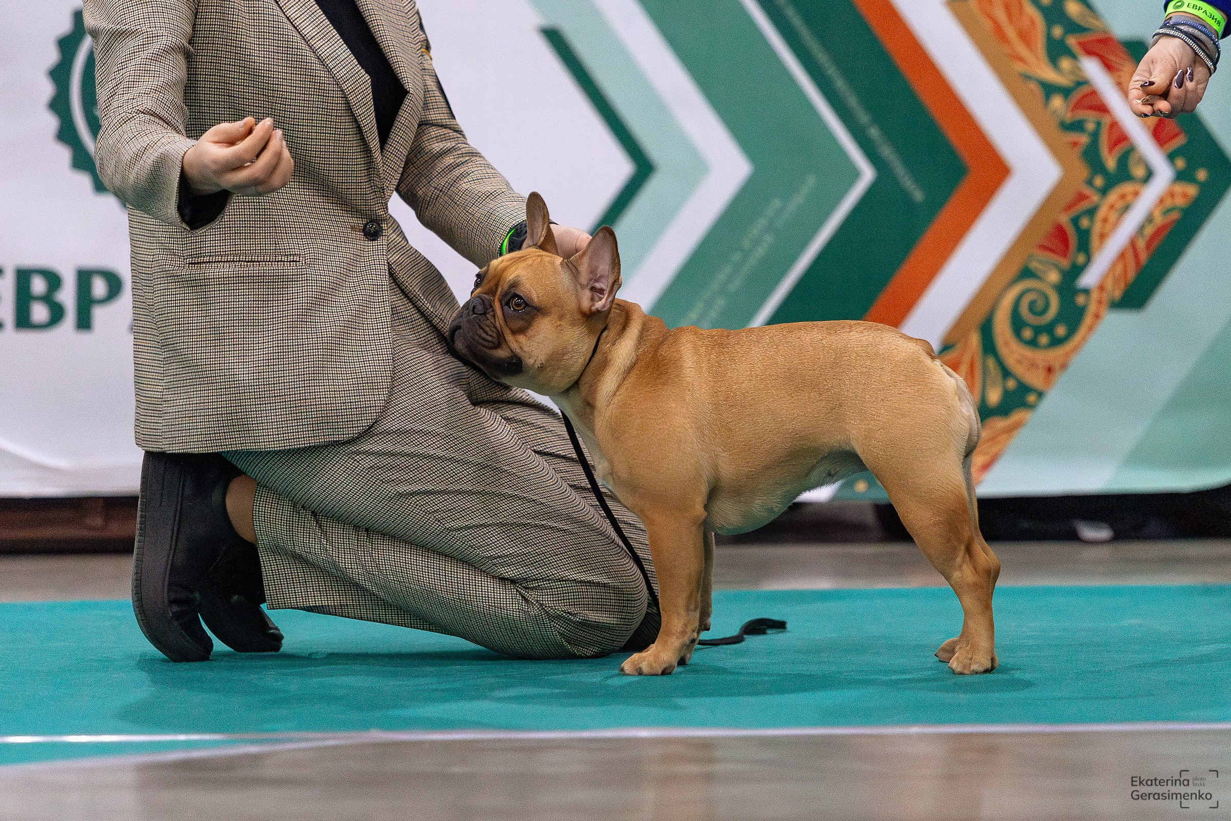 16–17 ноября 2024, Выставка ЕВРАЗИЯ, г. Москва. Htykk_photo