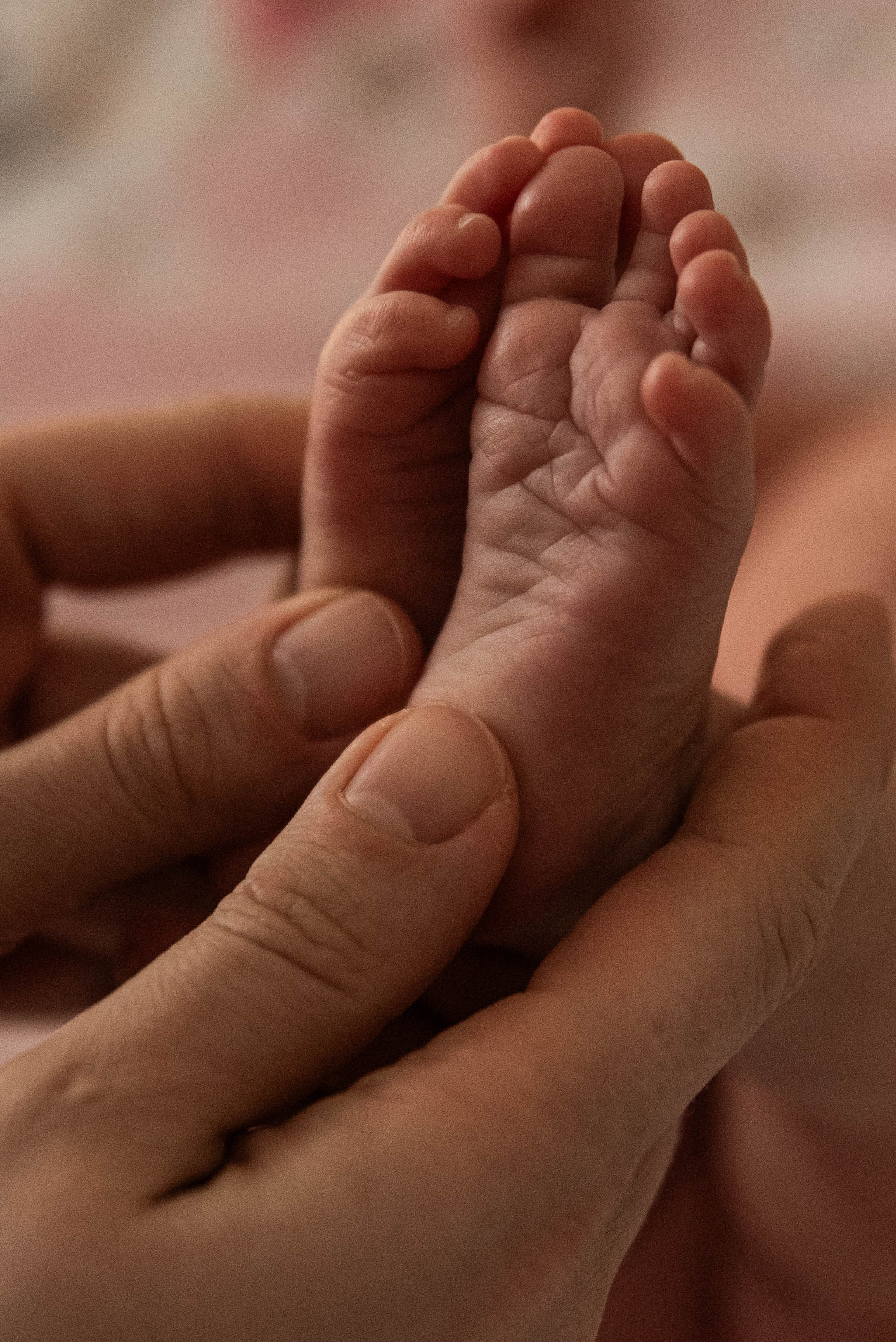 Ксюшенька. Семейный и детский фотограф в Санкт-Петербурге Татьяна Дмитренко