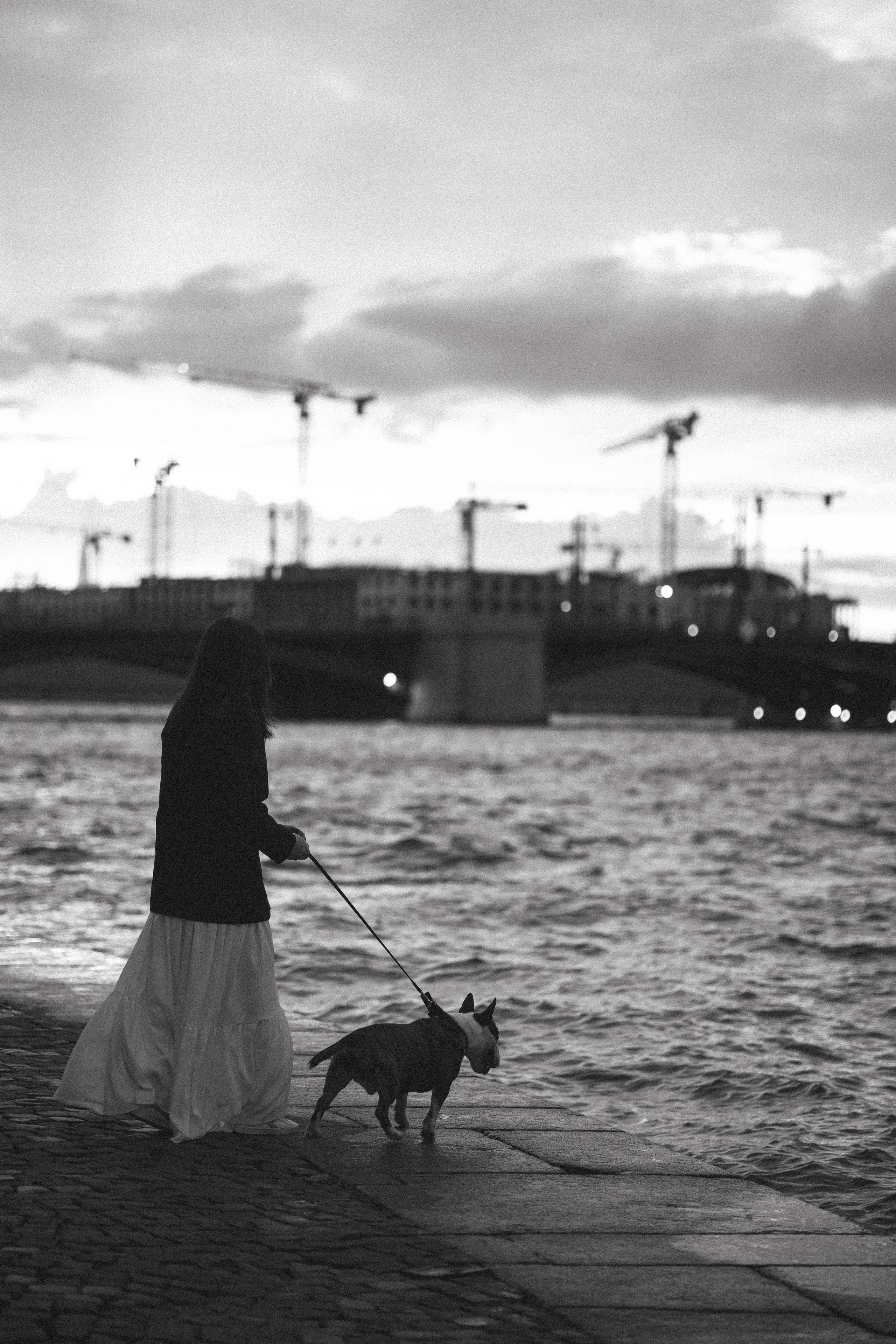 Елена и Гек. Фотограф-анималист в Санкт-Петербурге Алина Яхонт