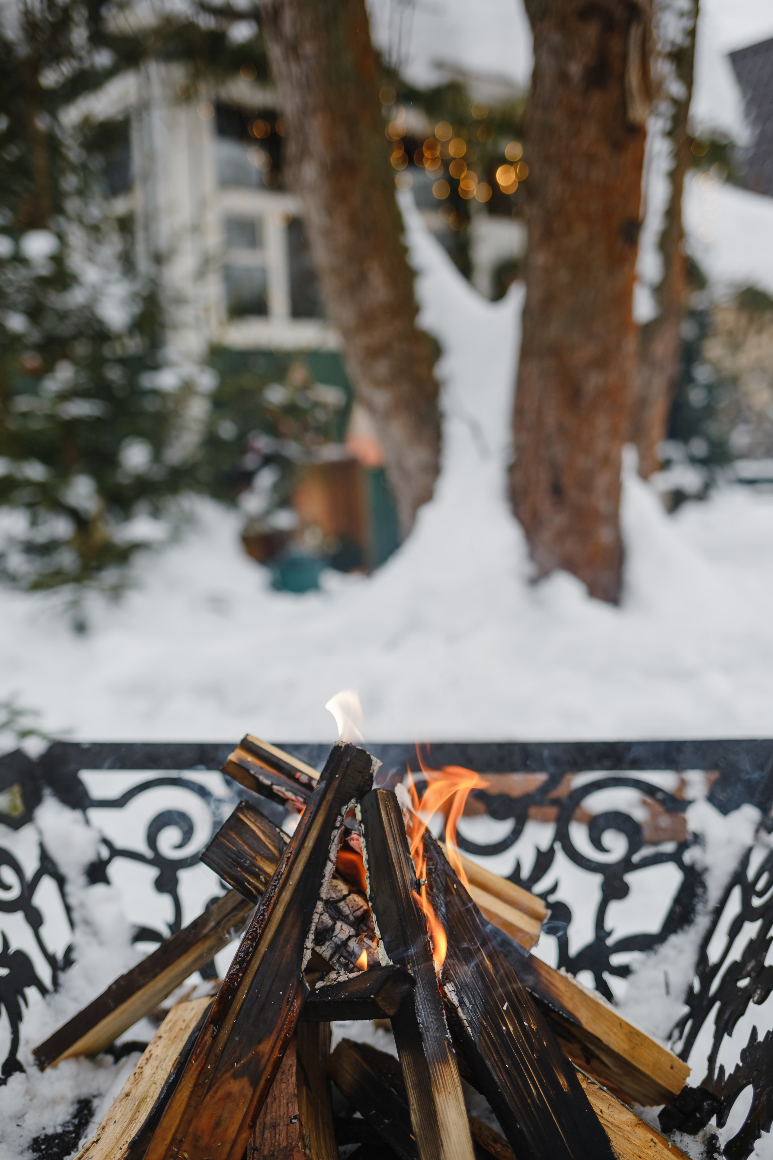Анатолий, Ирина, Мирослав, Арина. Семейный фотограф Николаева Ольга