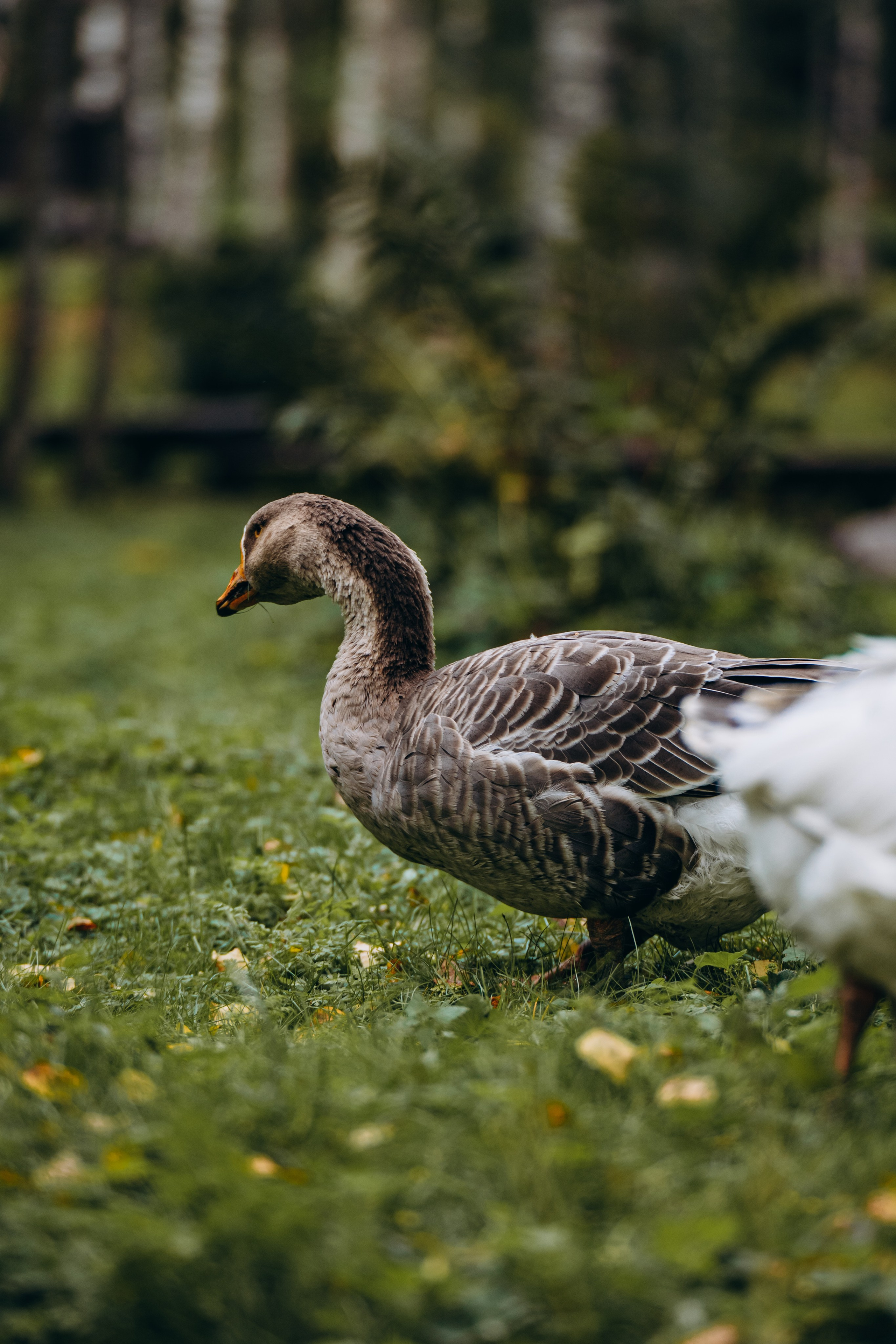 СЕВЕР. Event фотограф Степанова Александра