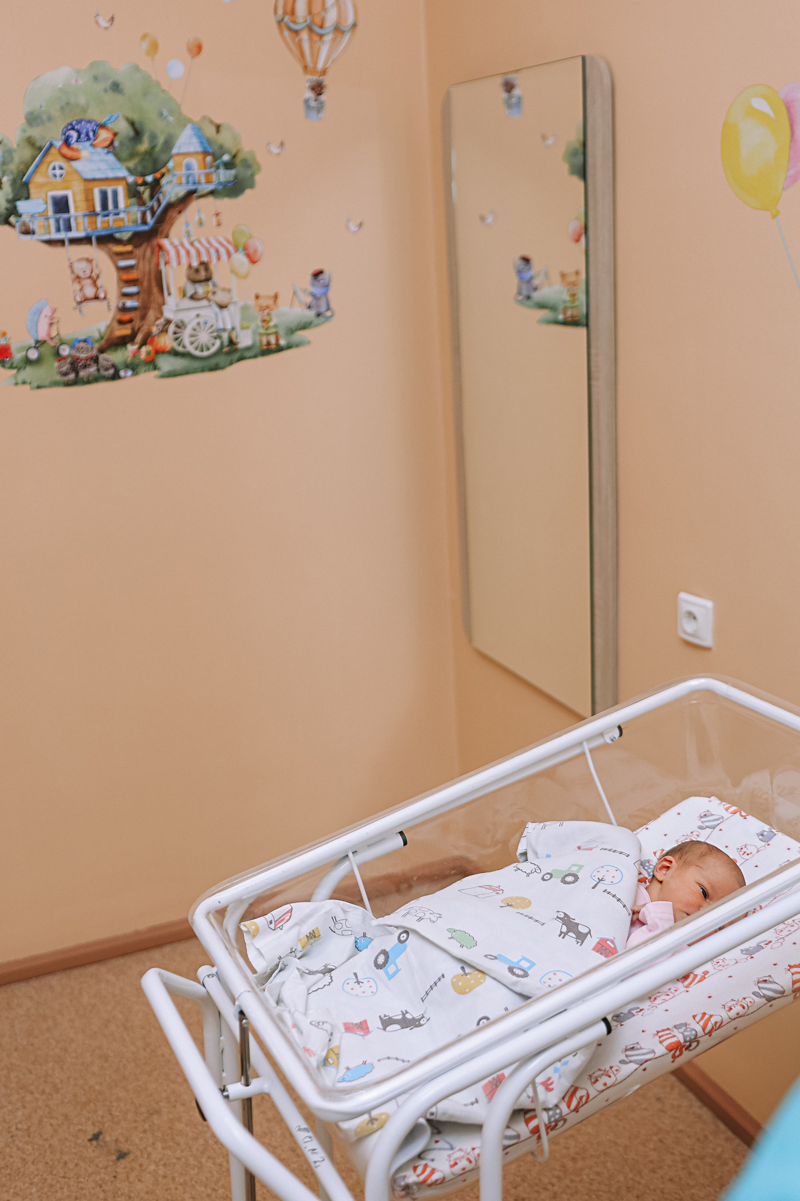 Выписка палата+внизу ПЦЭ. Семейный фотограф Тюмень, фотограф на роды Салмина Мария