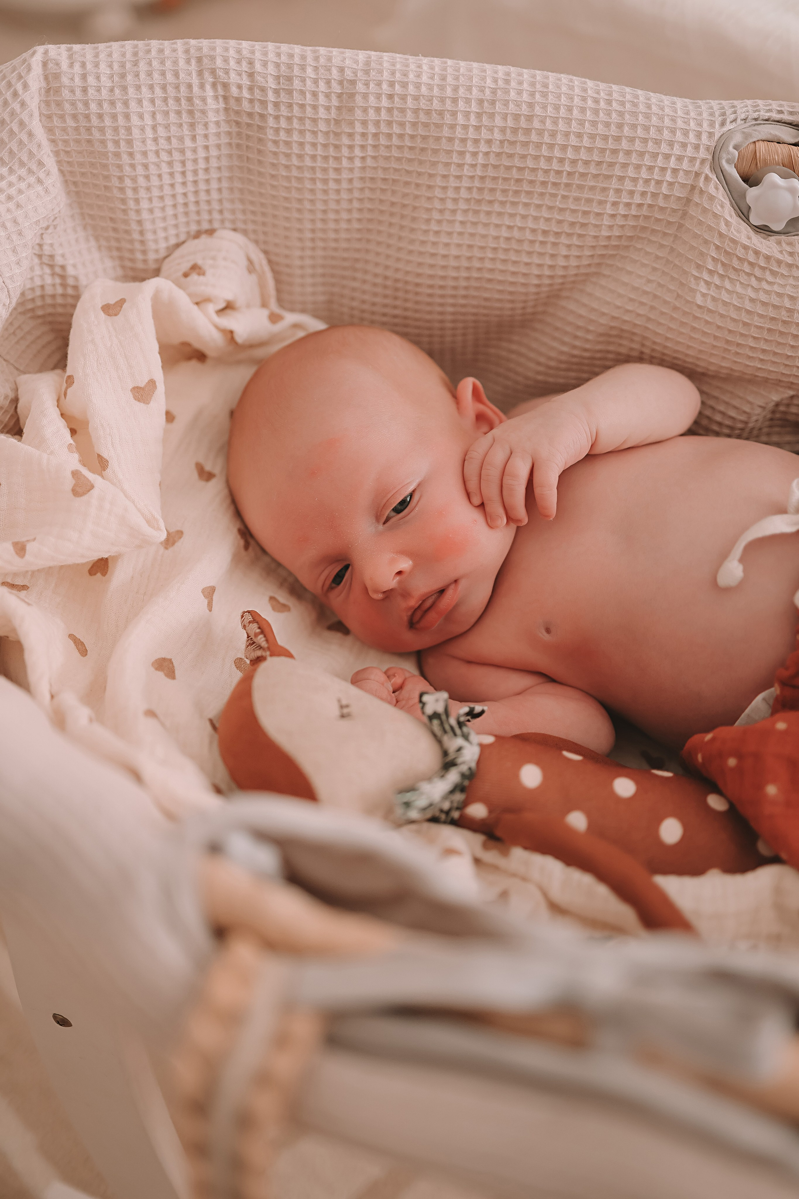 Ефим, 2 недели. Семейный фотограф Тюмень, фотограф на роды Салмина Мария